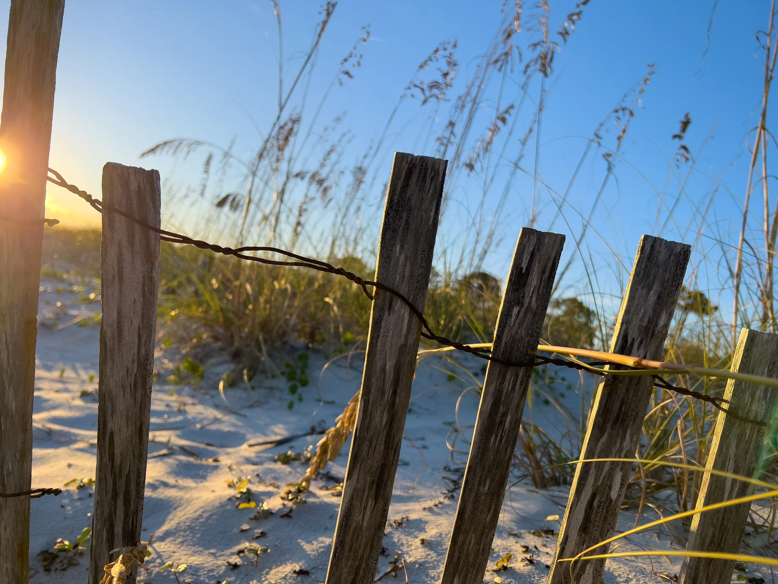 Wooden fence on a beach with wire, grass, and sand, sunset sky in the background.