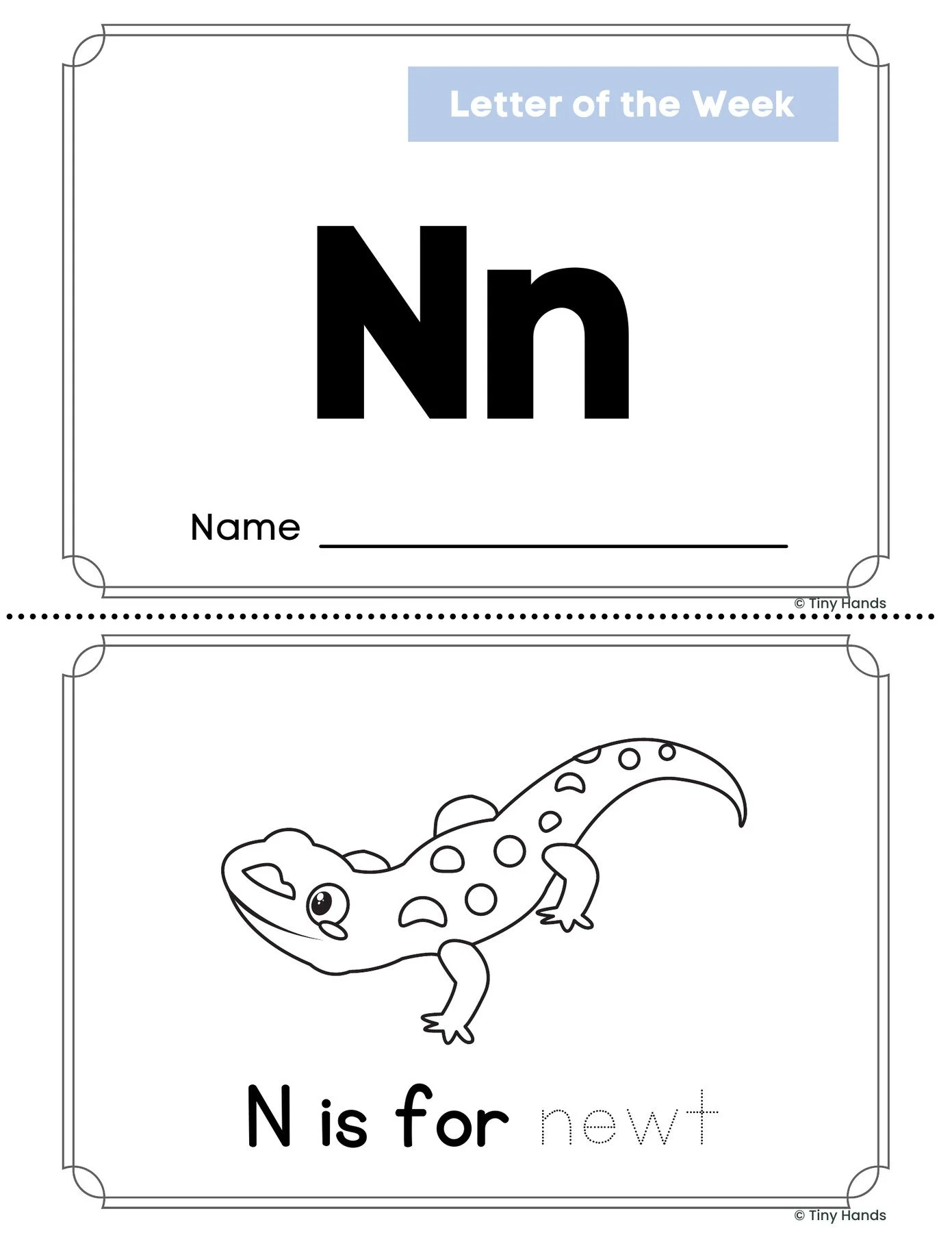 Letter N Book
