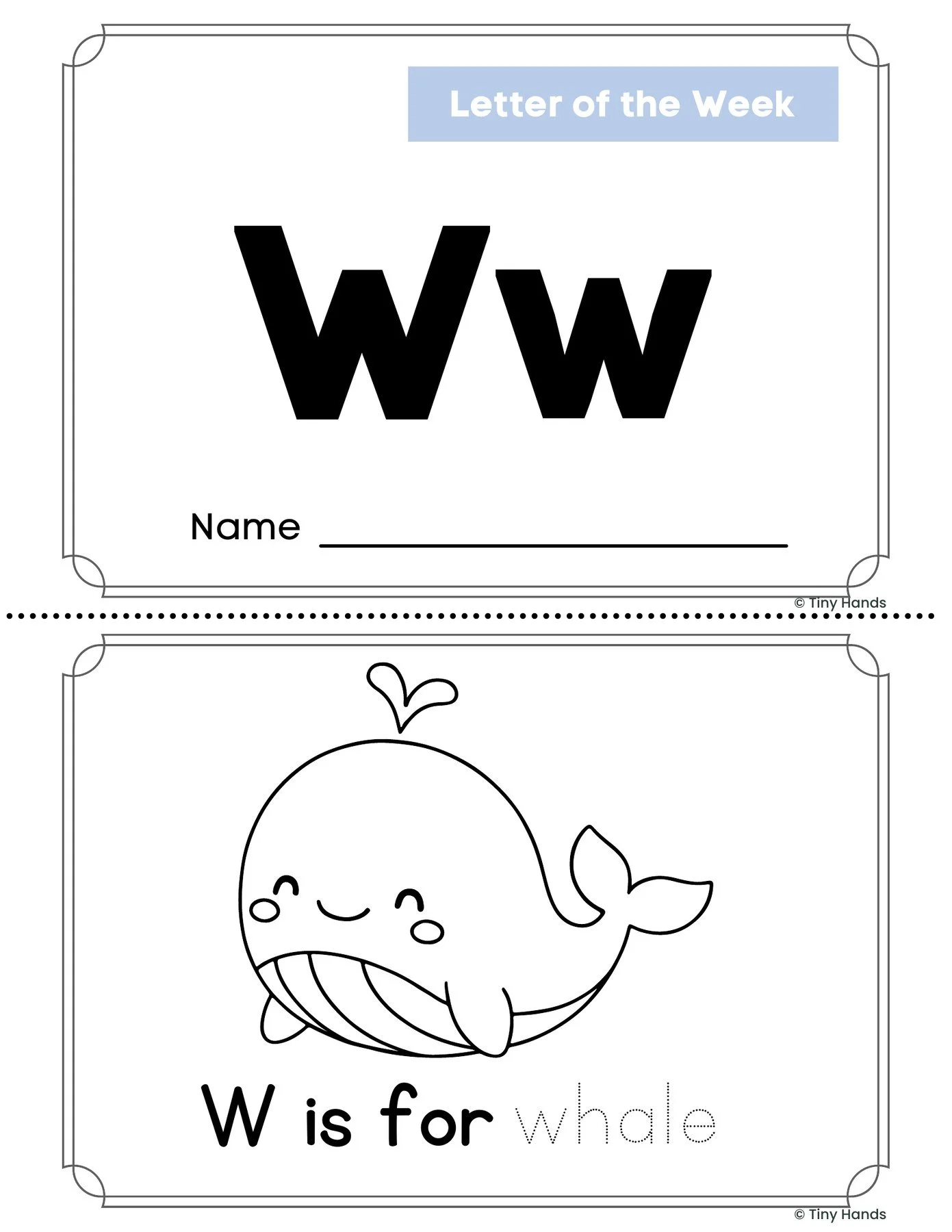 Letter W Book