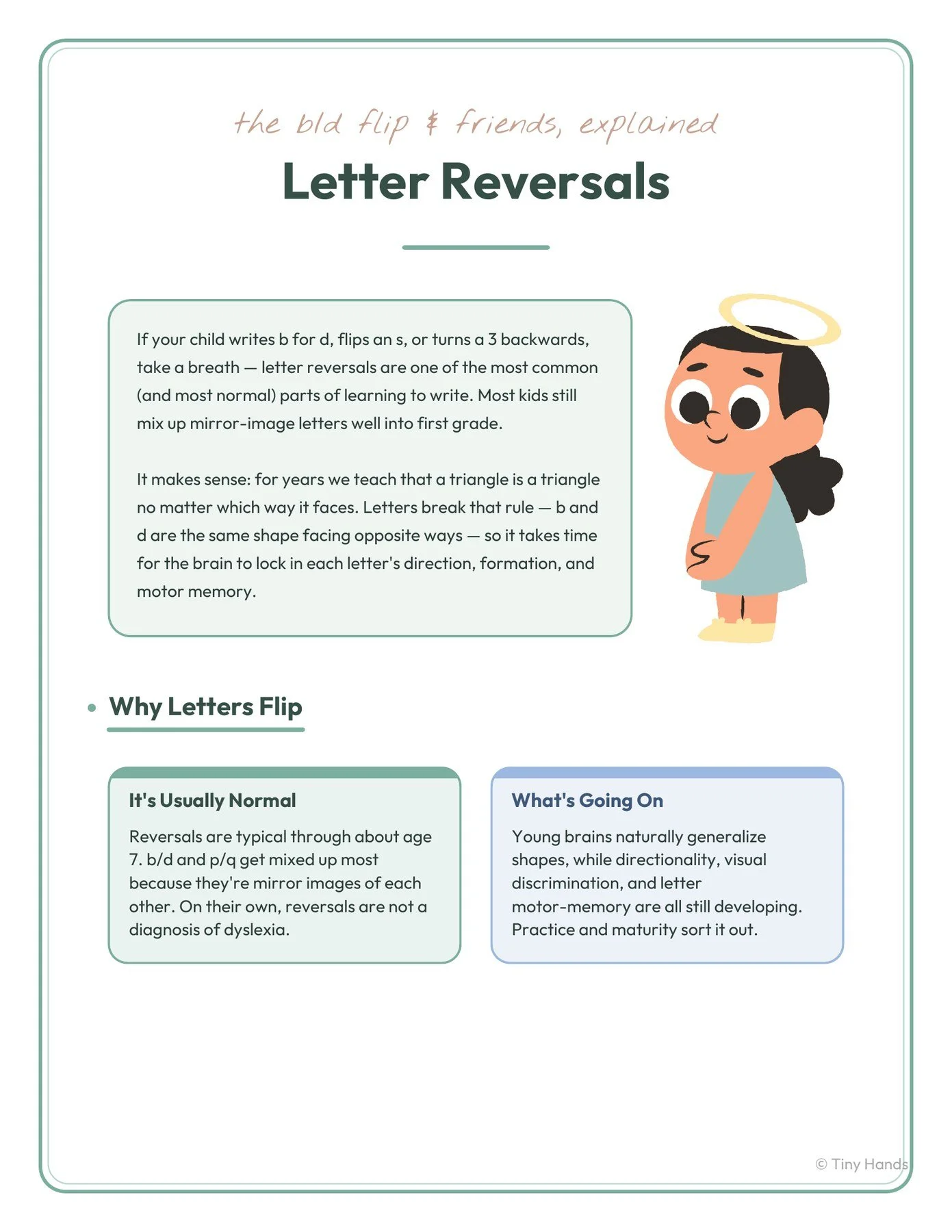 Letter Reversals: Why b and d Flip