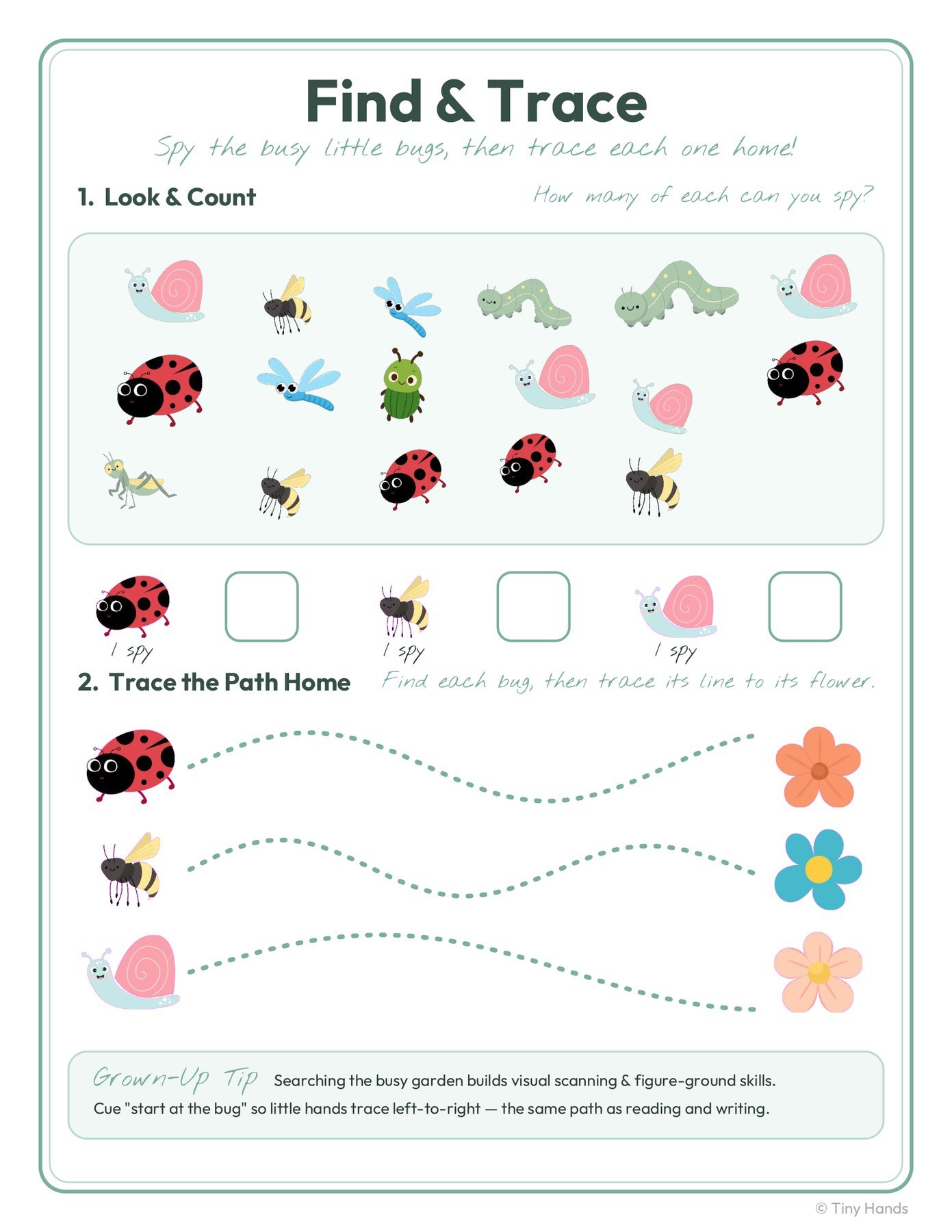Find & Trace Garden Bugs