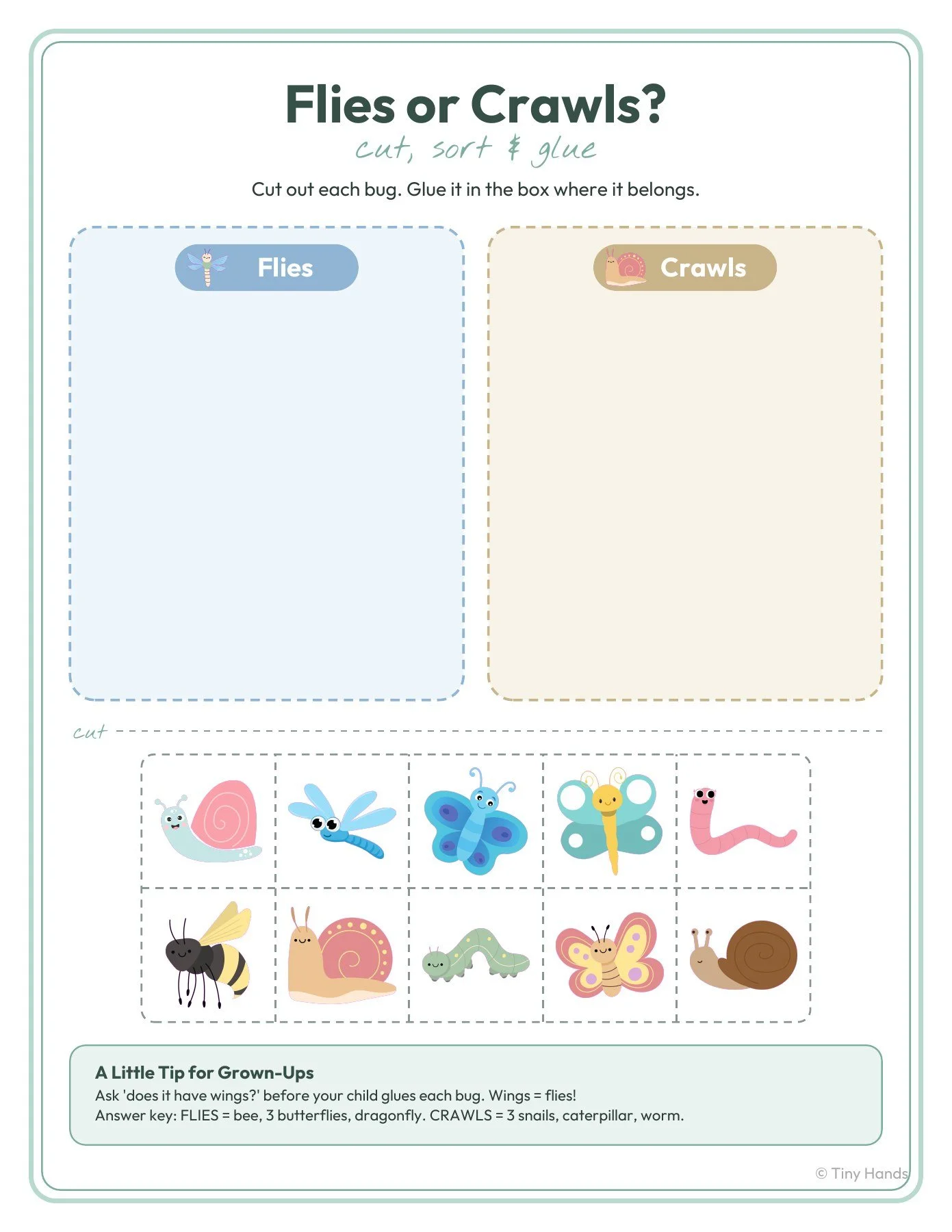 Flies or Crawls Bug Cut and Sort