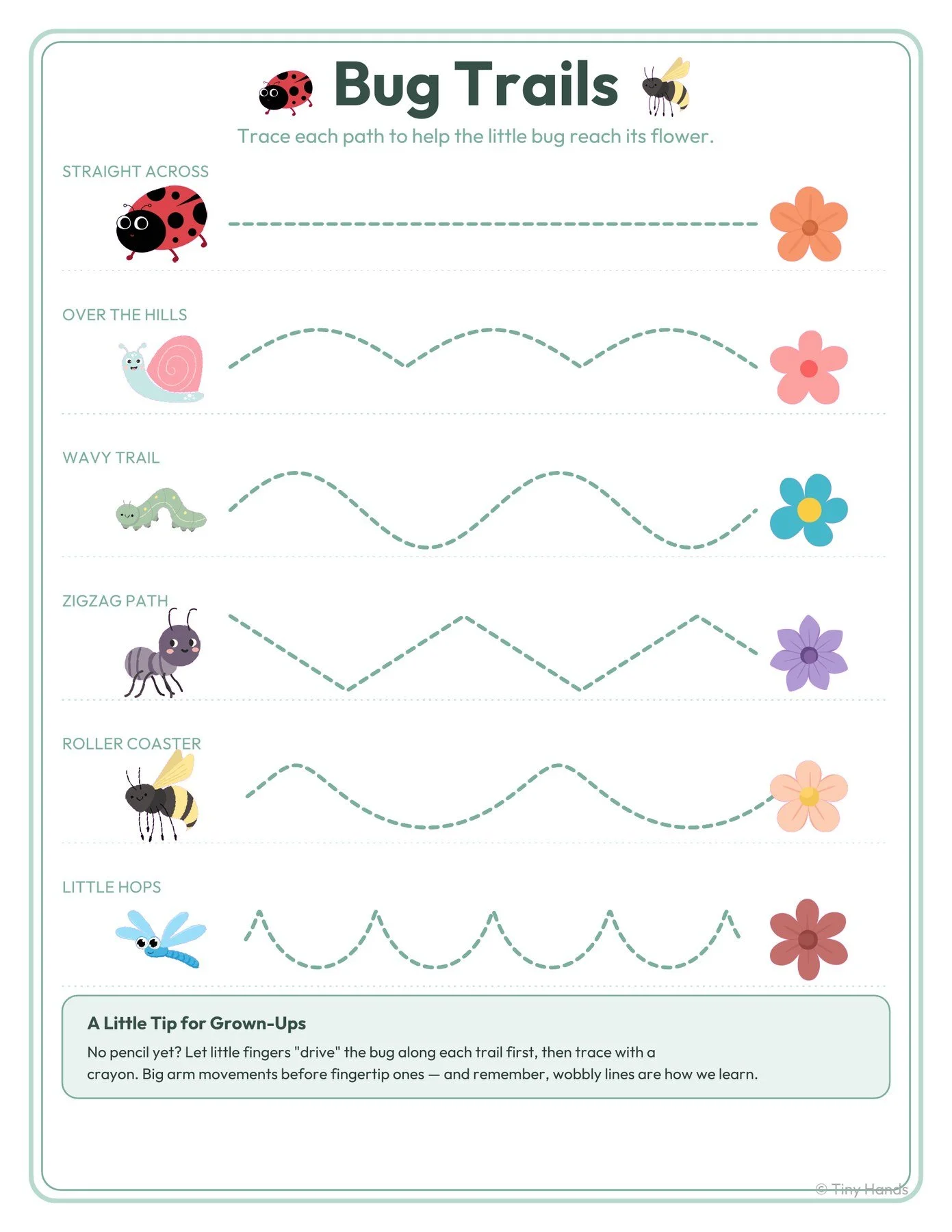Bug Trails Prewriting