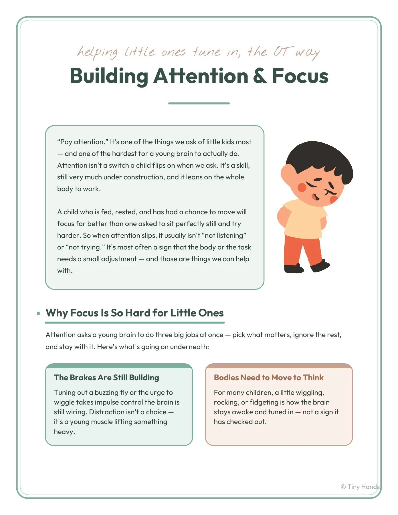 Building Attention & Focus