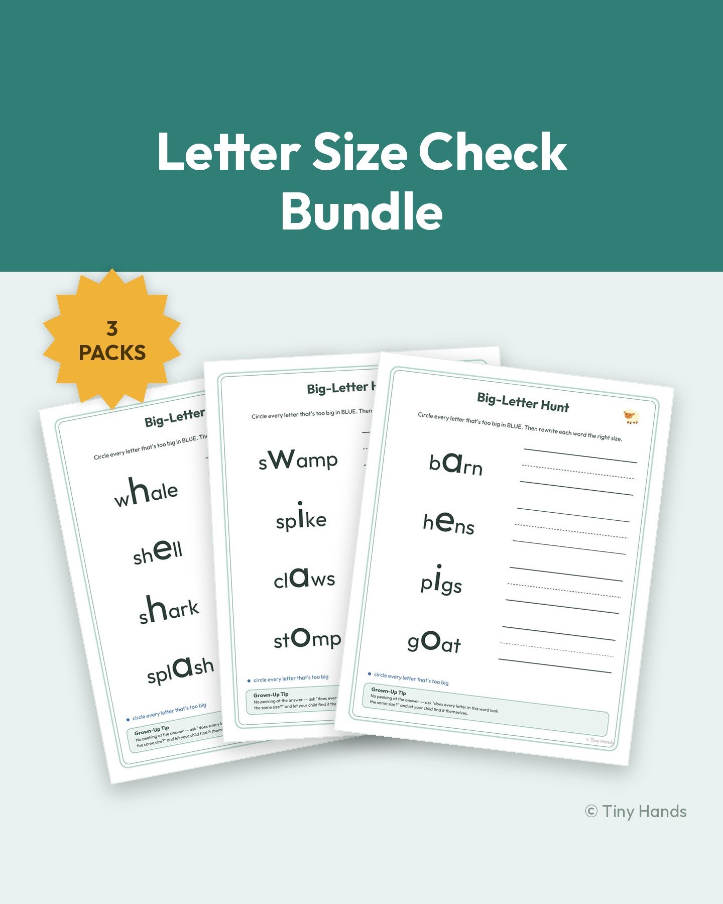 Letter Size Check Bundle