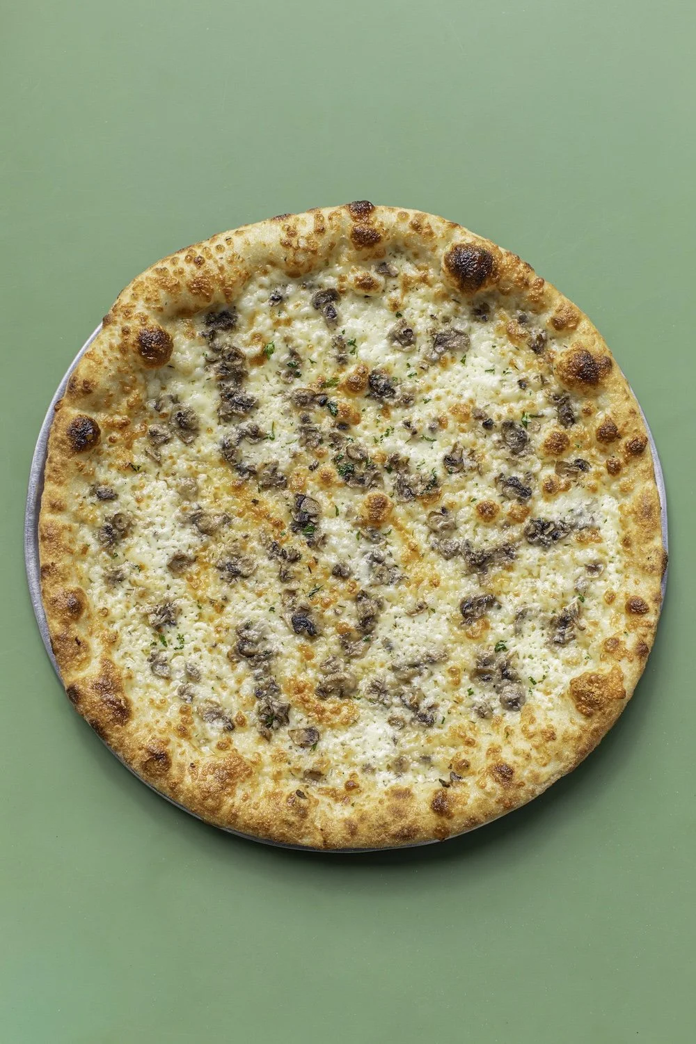 Mushroom cream, roasted mushrooms, Grande mozz, pecorino, thyme, finished with parsley and garlic oil