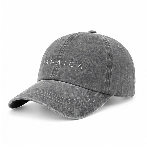 GRAY WASHED CAP_PRODUCT IMAGE_SIDE.png