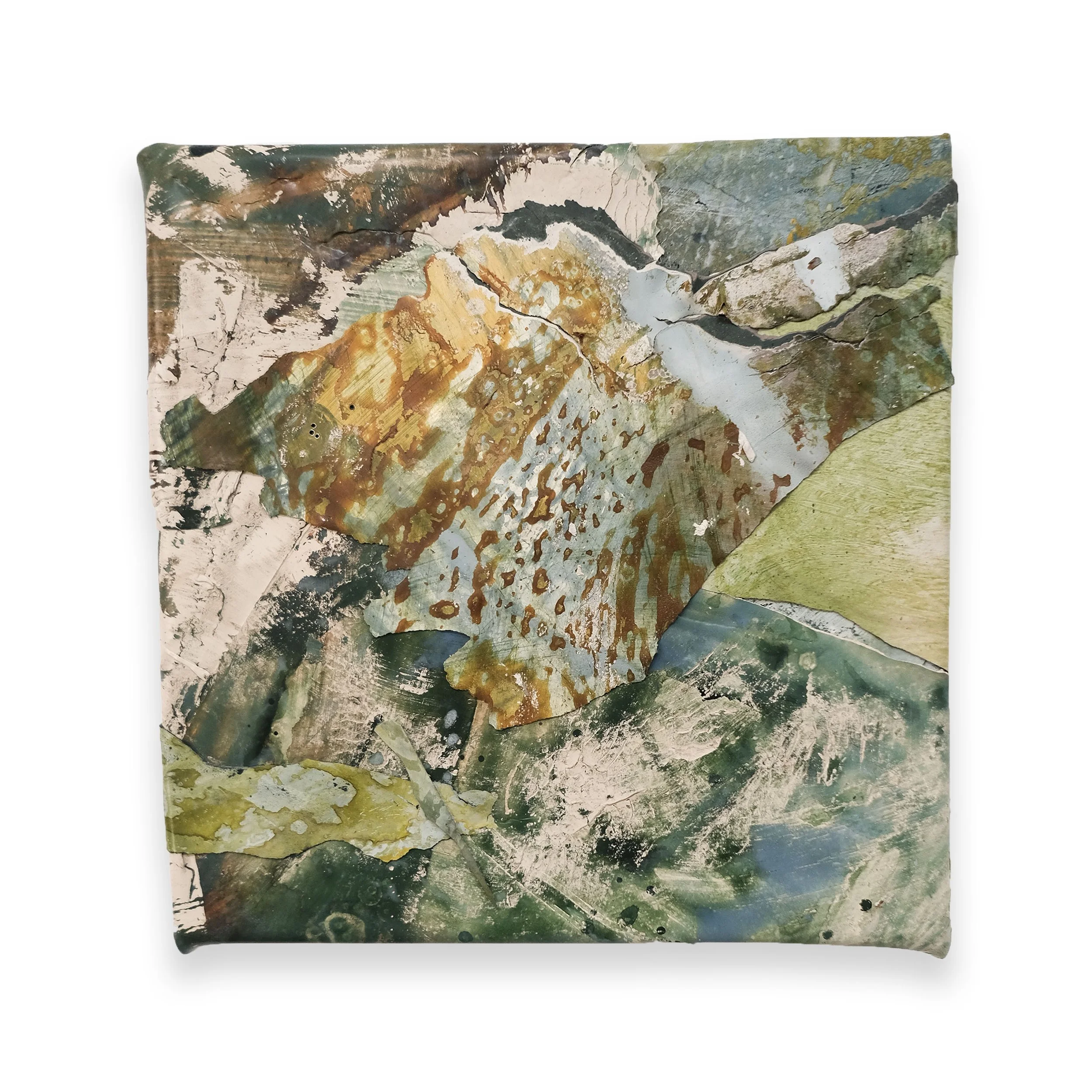 'Sundew no. 1'
Acrylic skins on panel, 12”x12"
2026