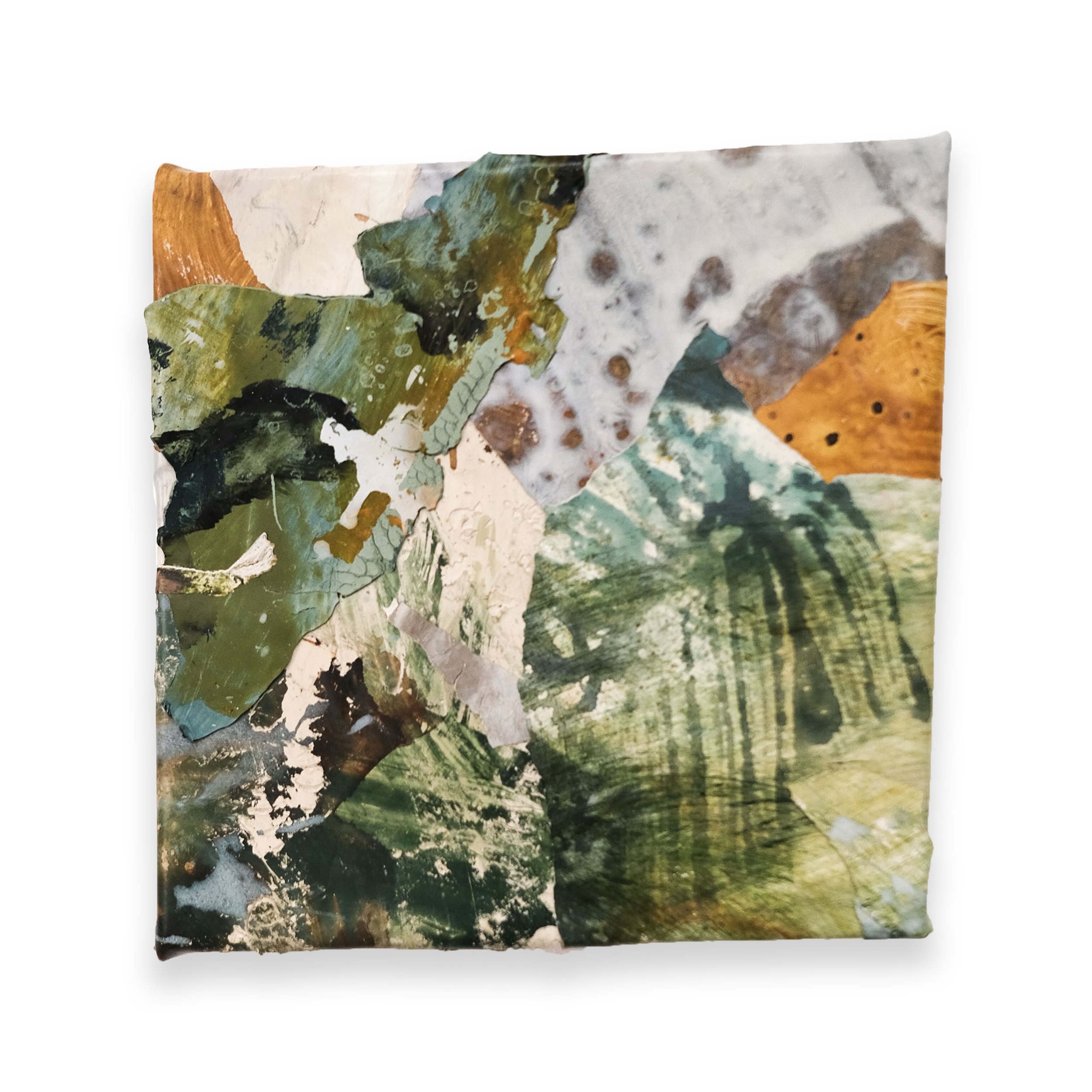'Sundew no. 2'
Acrylic skins on panel, 12”x12"
2026
