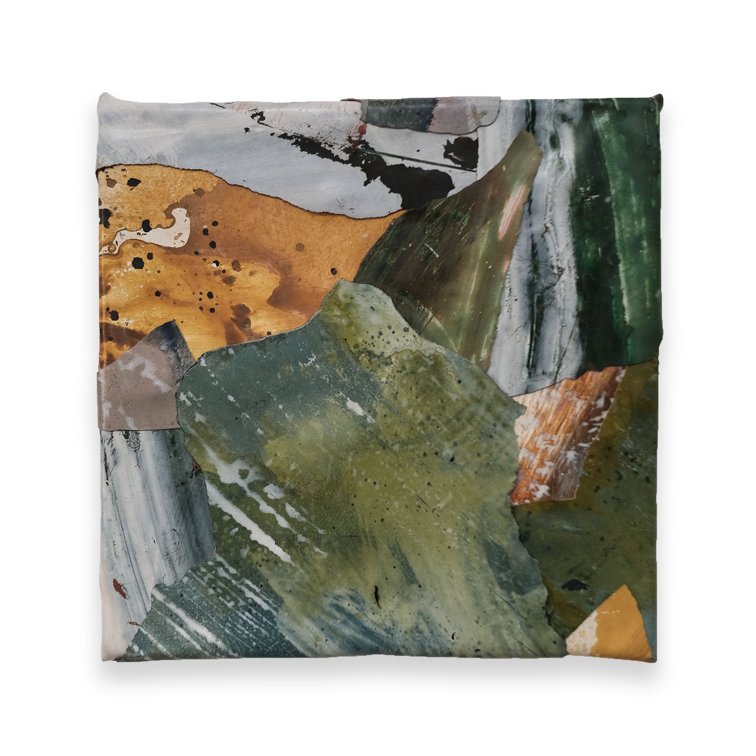 'Sundew no. 3'
Acrylic skins on panel, 12”x12"
2026
