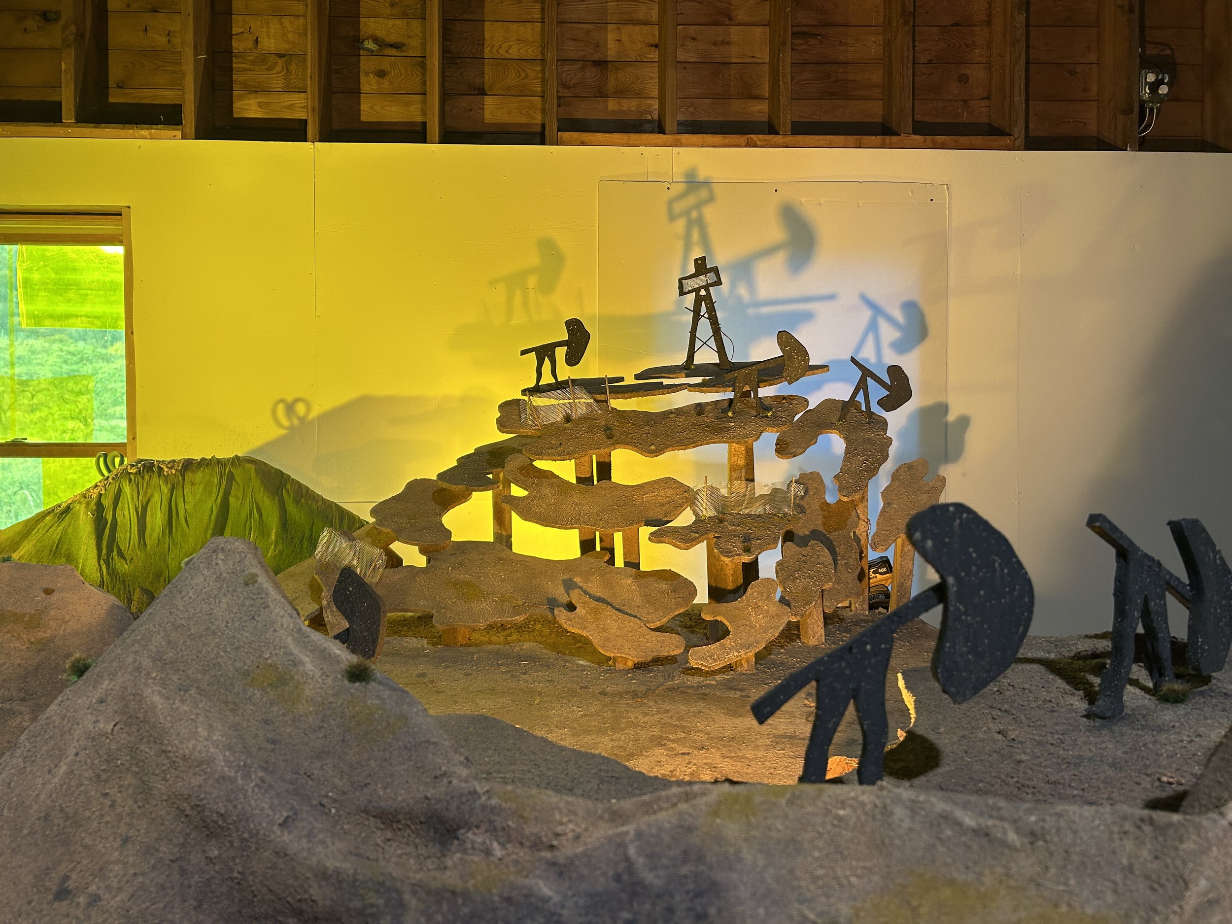 IMG_7381.JPG