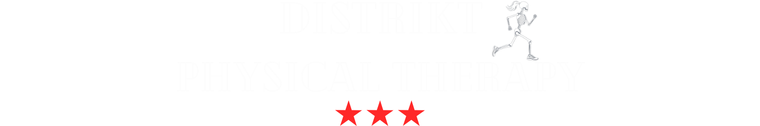 DistriKT PT