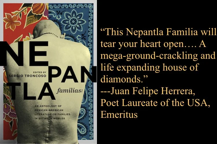 Nepantla Familias, by Sergio Troncoso