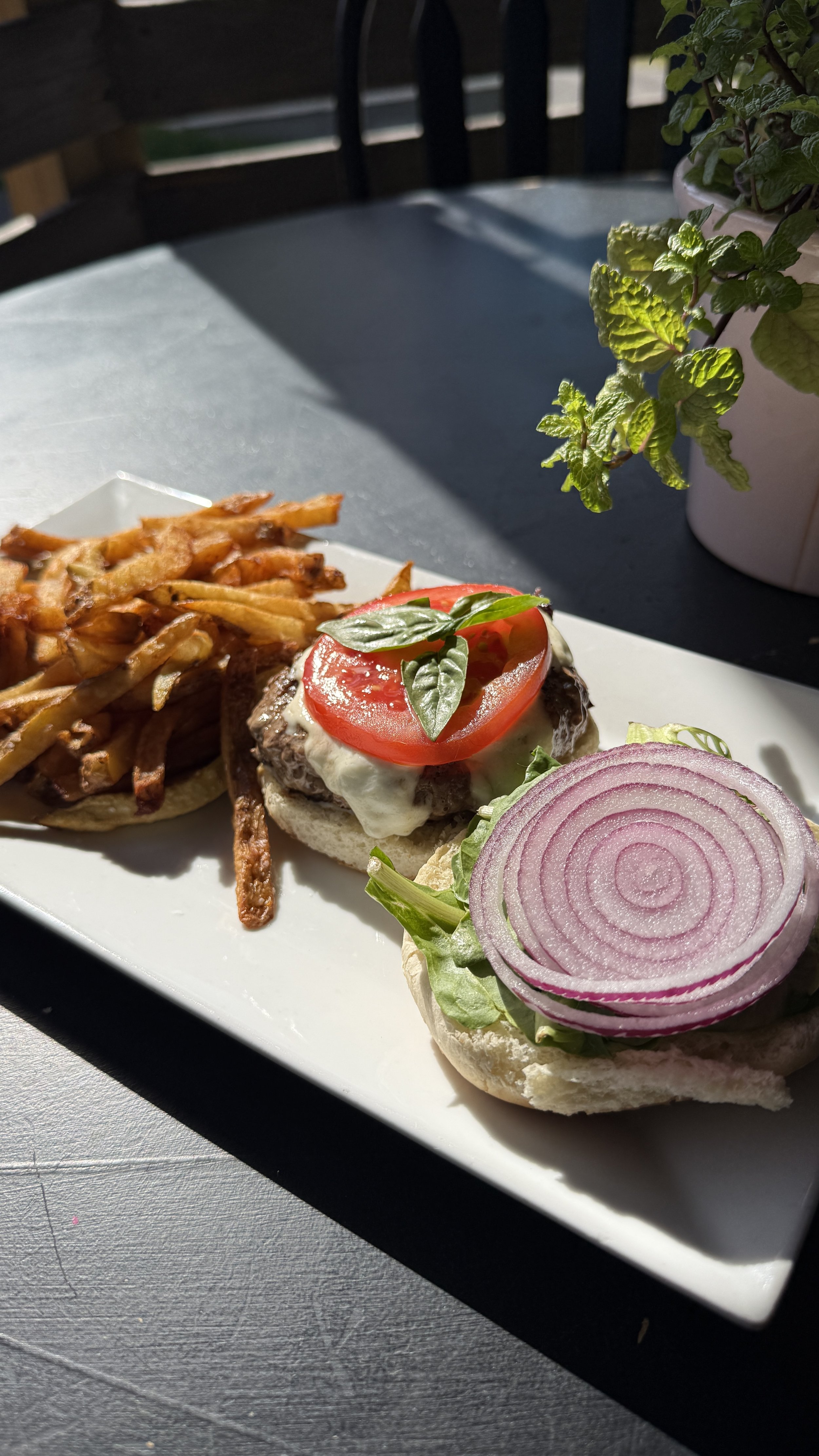 A plate of food with fries, a sandwich with tomato, mozzarella, and basil, and raw onion and lettuce, with a potted mint plant on a table near sunlight.