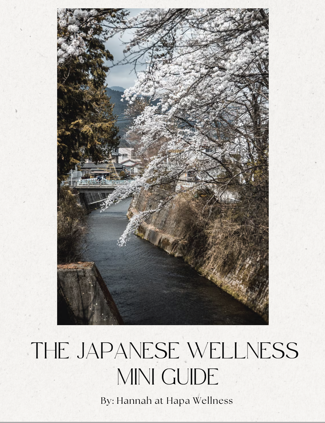 A scenic scene of cherry blossom trees overhanging a small river in a Japanese town.