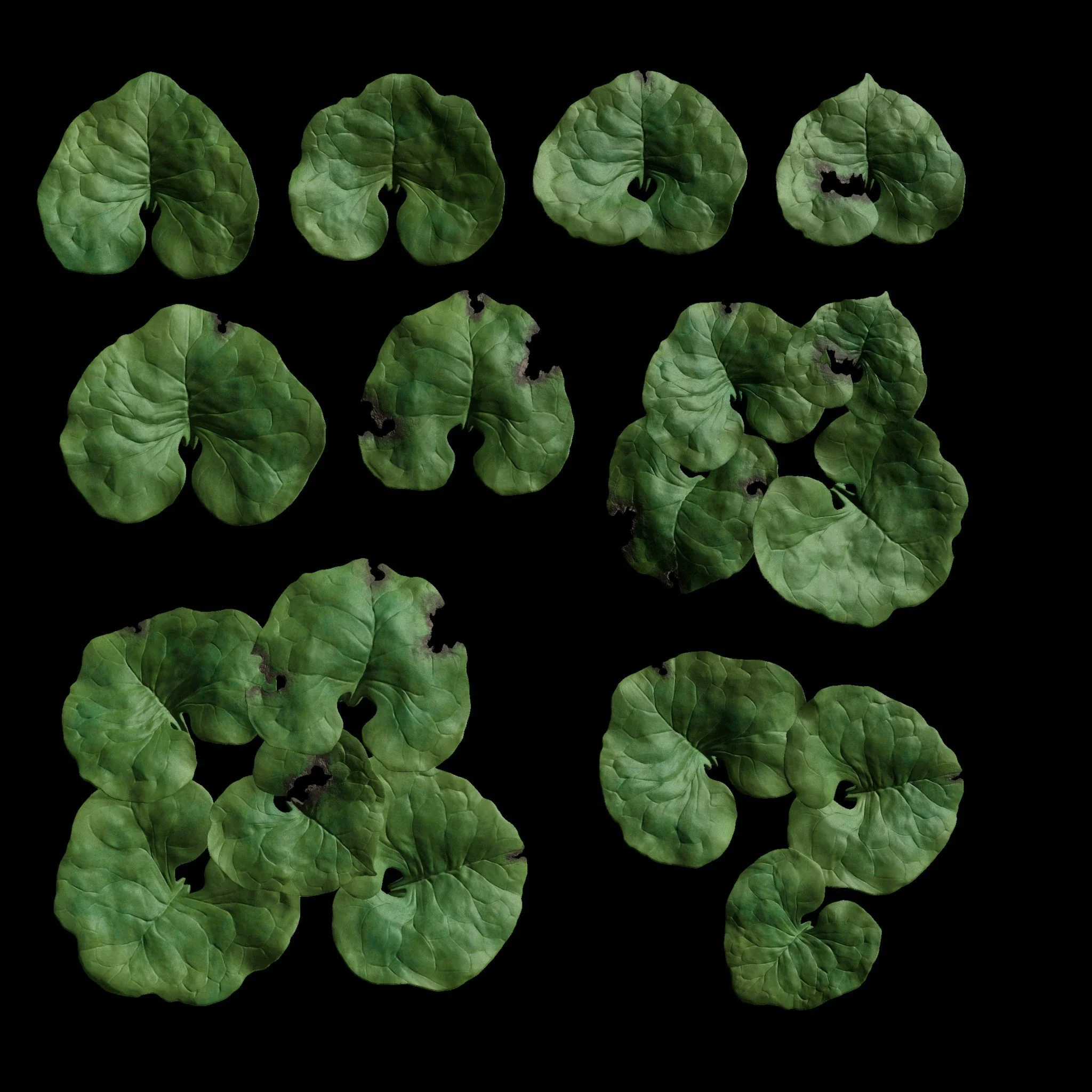 msternberg_CGMA_week2_06.jpg