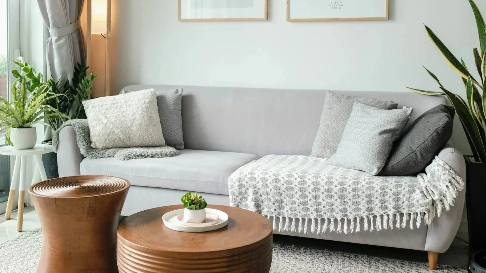 Living room with a light gray sofa decorated with various gray and white throw pillows and a beige patterned blanket. There are green potted plants on both sides of the sofa, a round wooden coffee table with a small plant on it, and part of a side table with a plant on it. The background has framed art on white walls and a window with curtains.