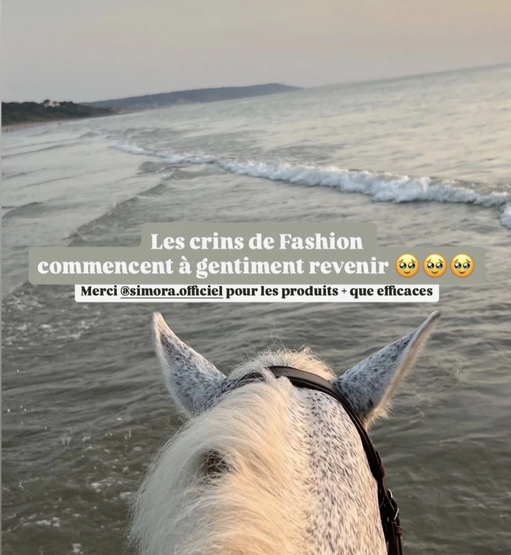 CHEVAL PLAGE ELIXIR.jpg