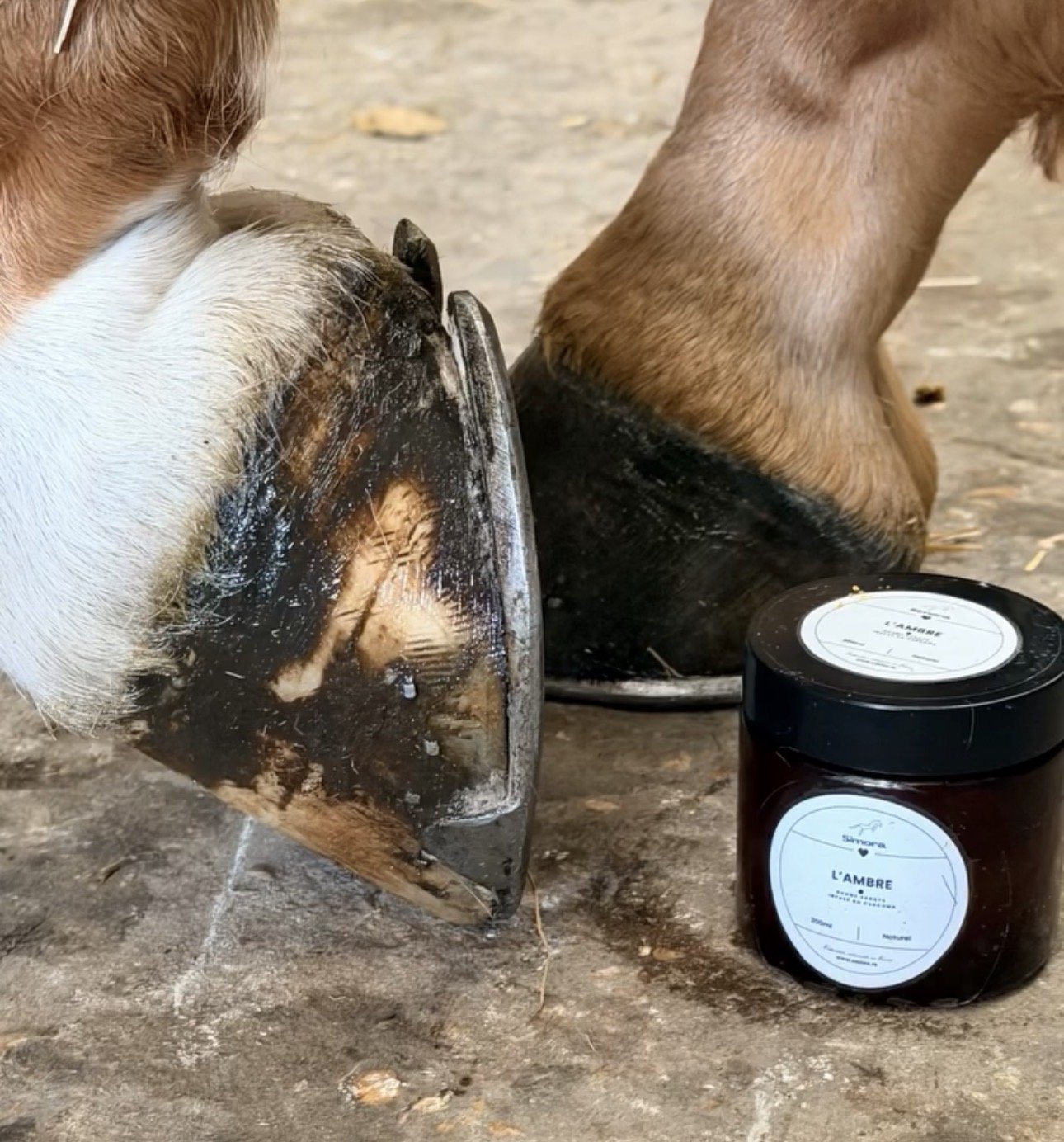 Deux chevaux portés des bottes en caoutchouc, avec un pot de confiture au centre, sur un sol poussiéreux. La confiture est appelée 'L'Ambre'.
