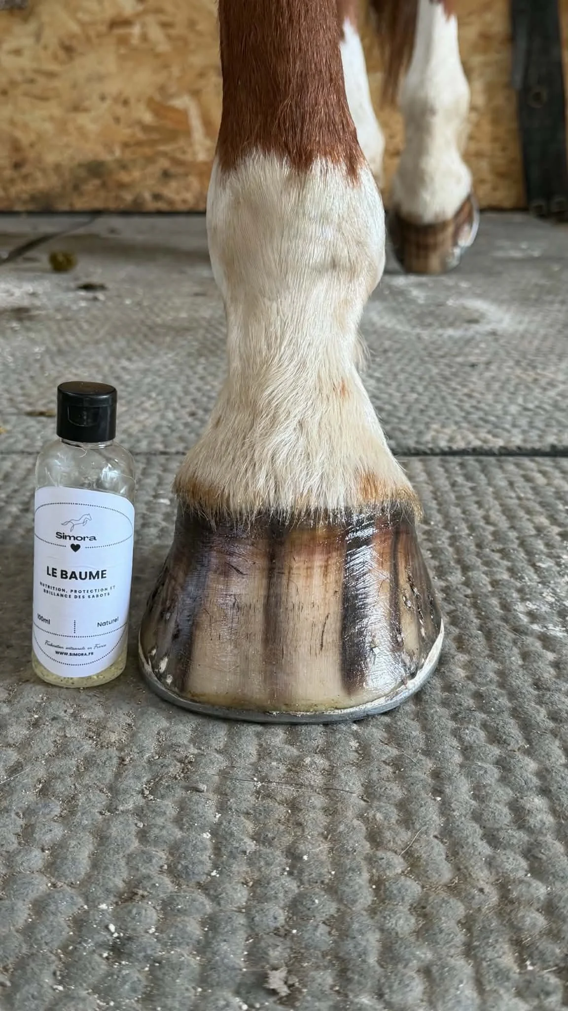 Pied d'un cheval avec un flacon d'huile de soin posé à côté, posé sur un sol en béton. Le flacon est blanc avec une étiquette indiquant 'Le Baume'.