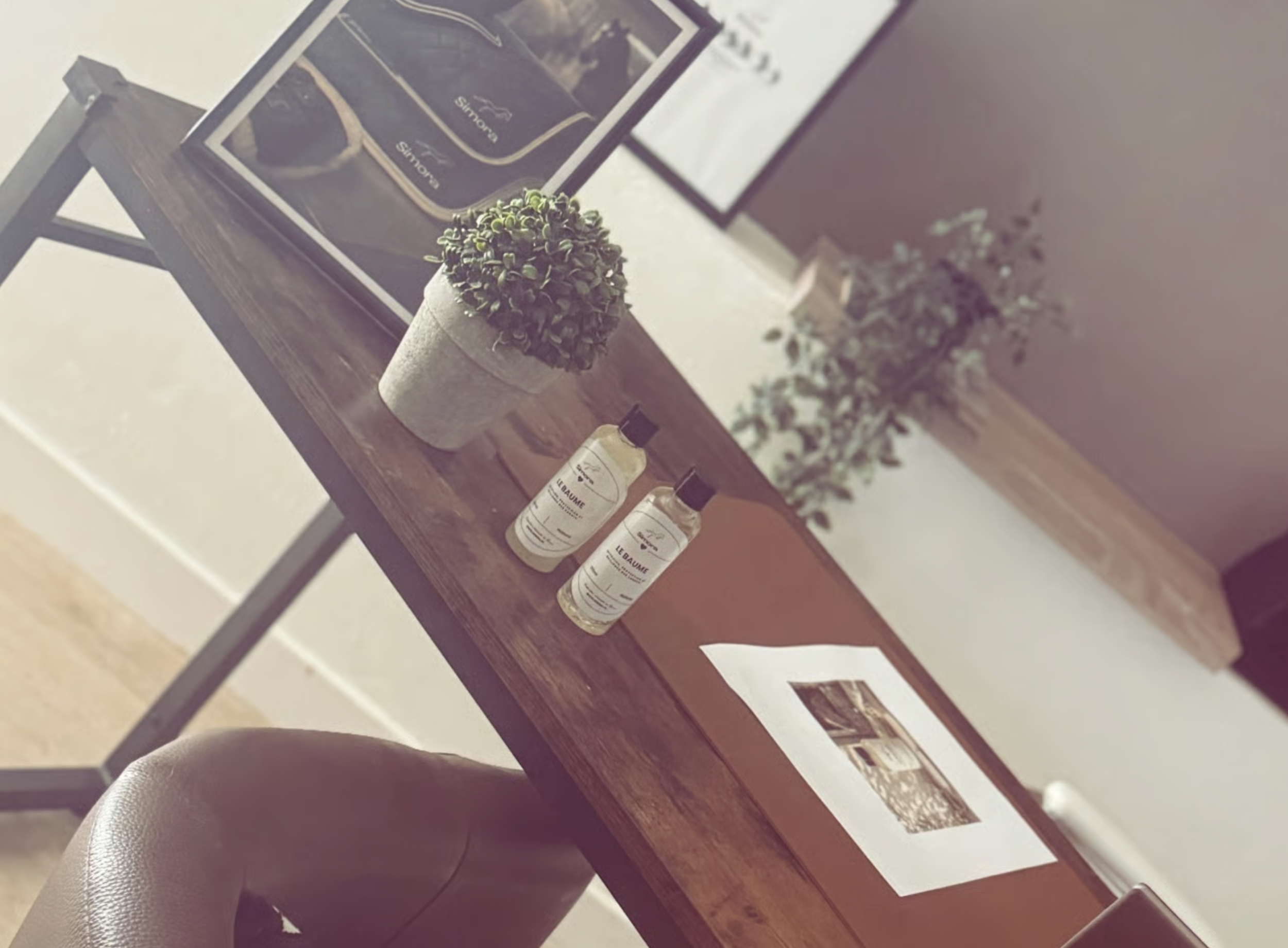 Une table en bois avec plusieurs bouteilles de produits de soins, un pot de plante verte et un livre ou magazine posé dessus. En arrière-plan, un mur violet et un cadre accroché à la paroi, ainsi que des végétaux en pot.