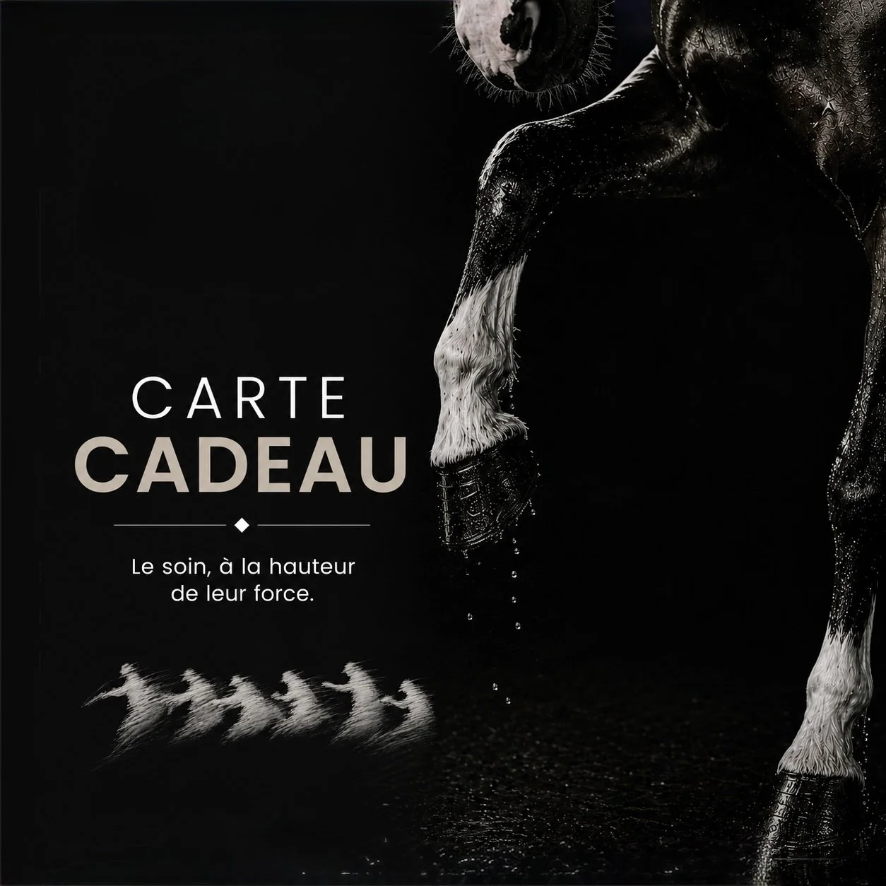 Cartes-cadeaux Simora.jpg