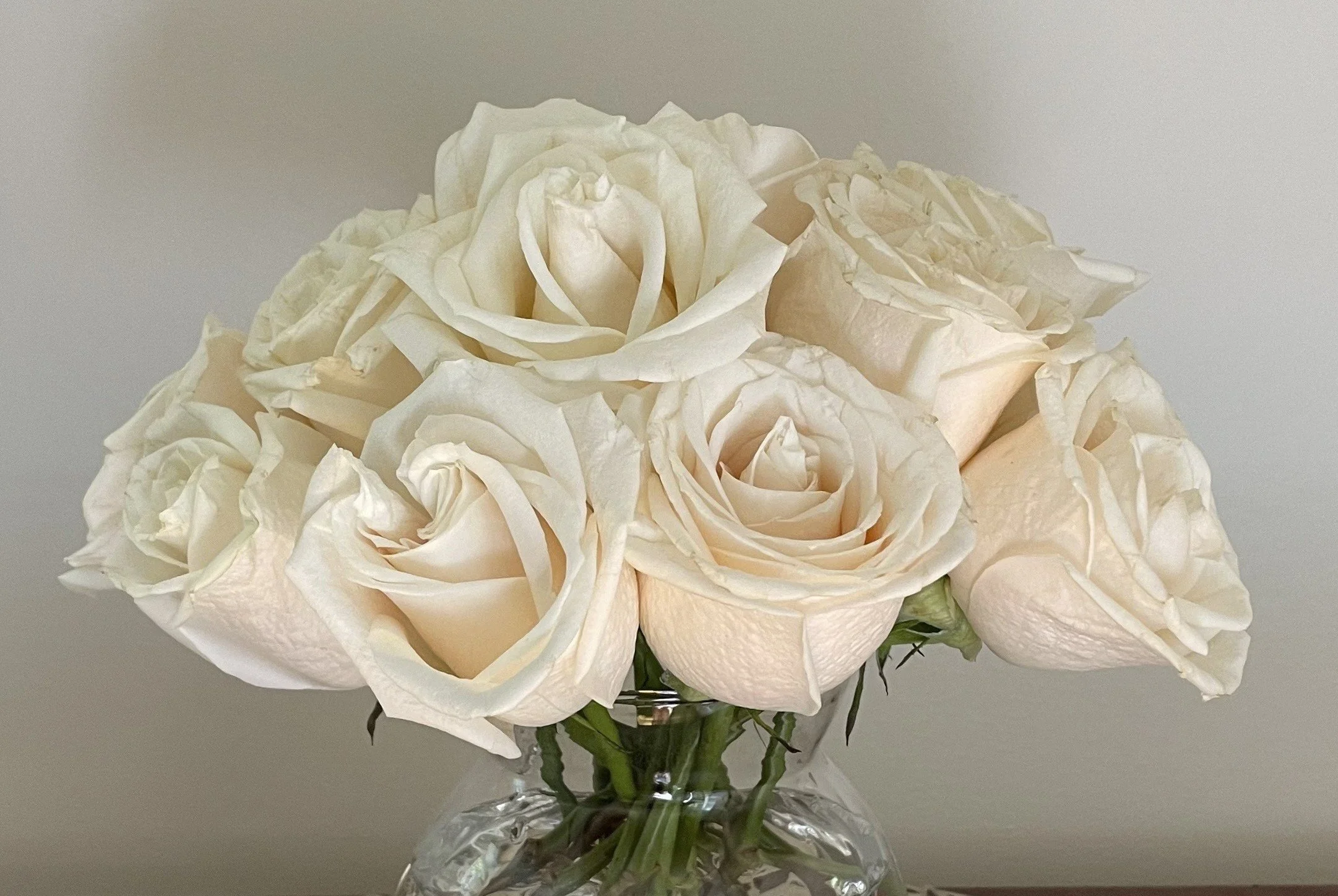 Roses (2).jpg