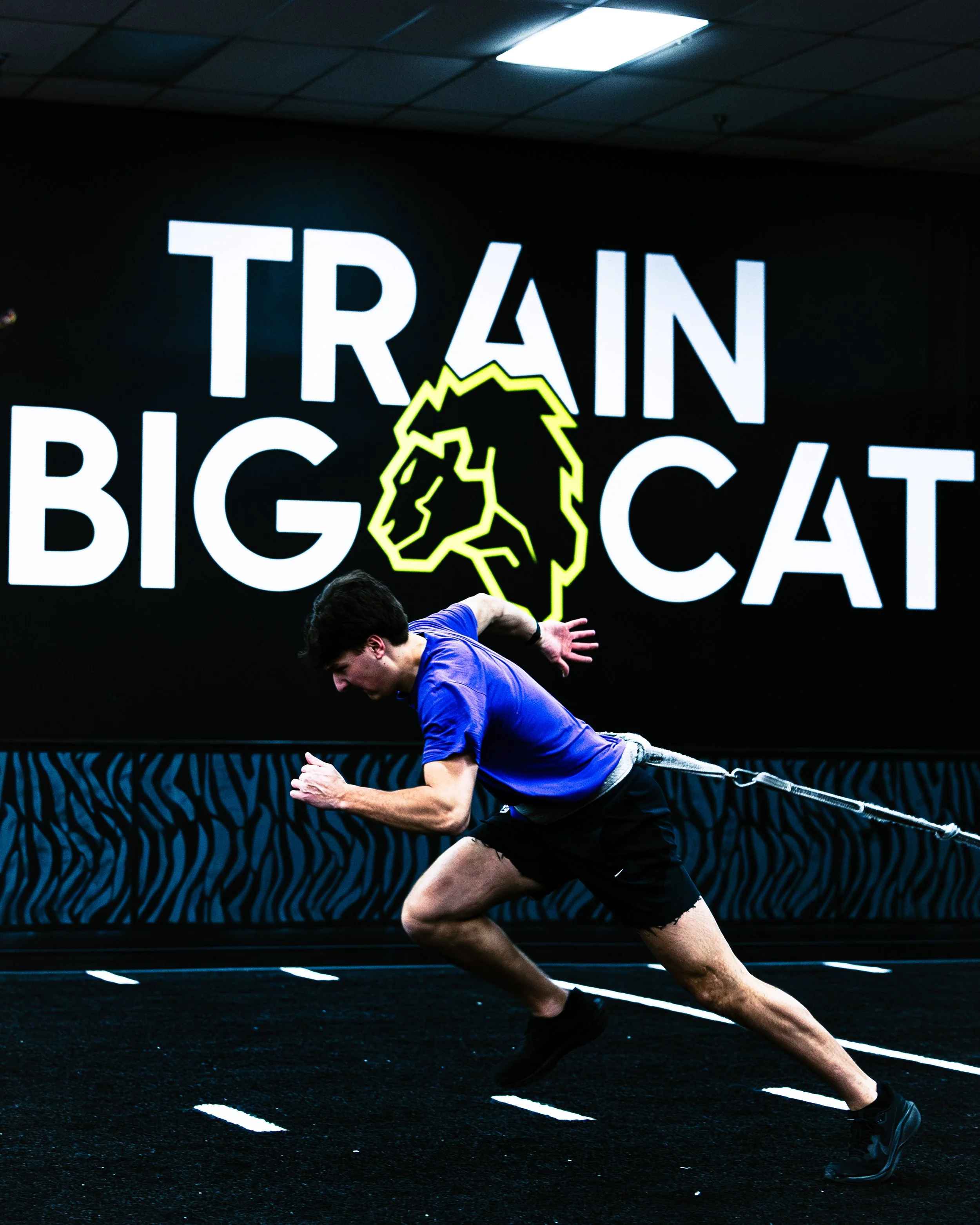 Landon Thiel during a training session, with a large illuminated sign behind him that says 'TRAIN BIG CAT' with part of a lion's face outline.