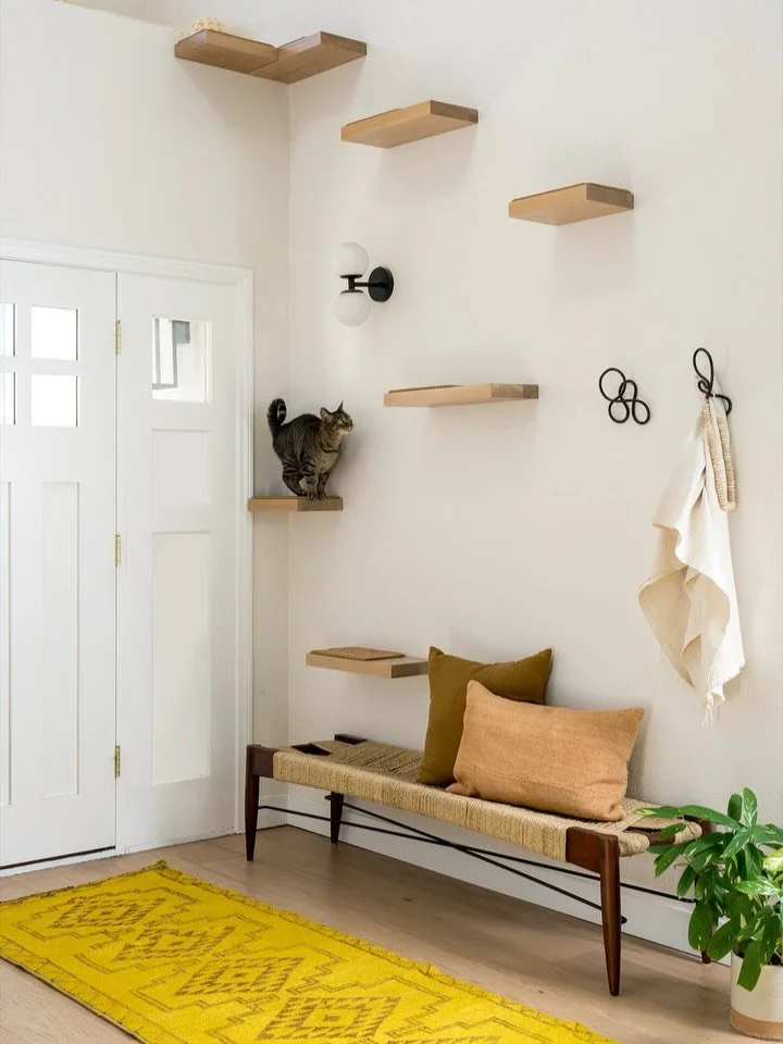 Designing for real life means designing for everyone who lives there, even the four-legged ones! 💛

Project #StayInWestchester 
Design @stayinteriors_la 
Styling @l.e._m.o 
Photos @charlotteleaphotography 
.
.
.
#stayinteriors #lainteriordesigner #e