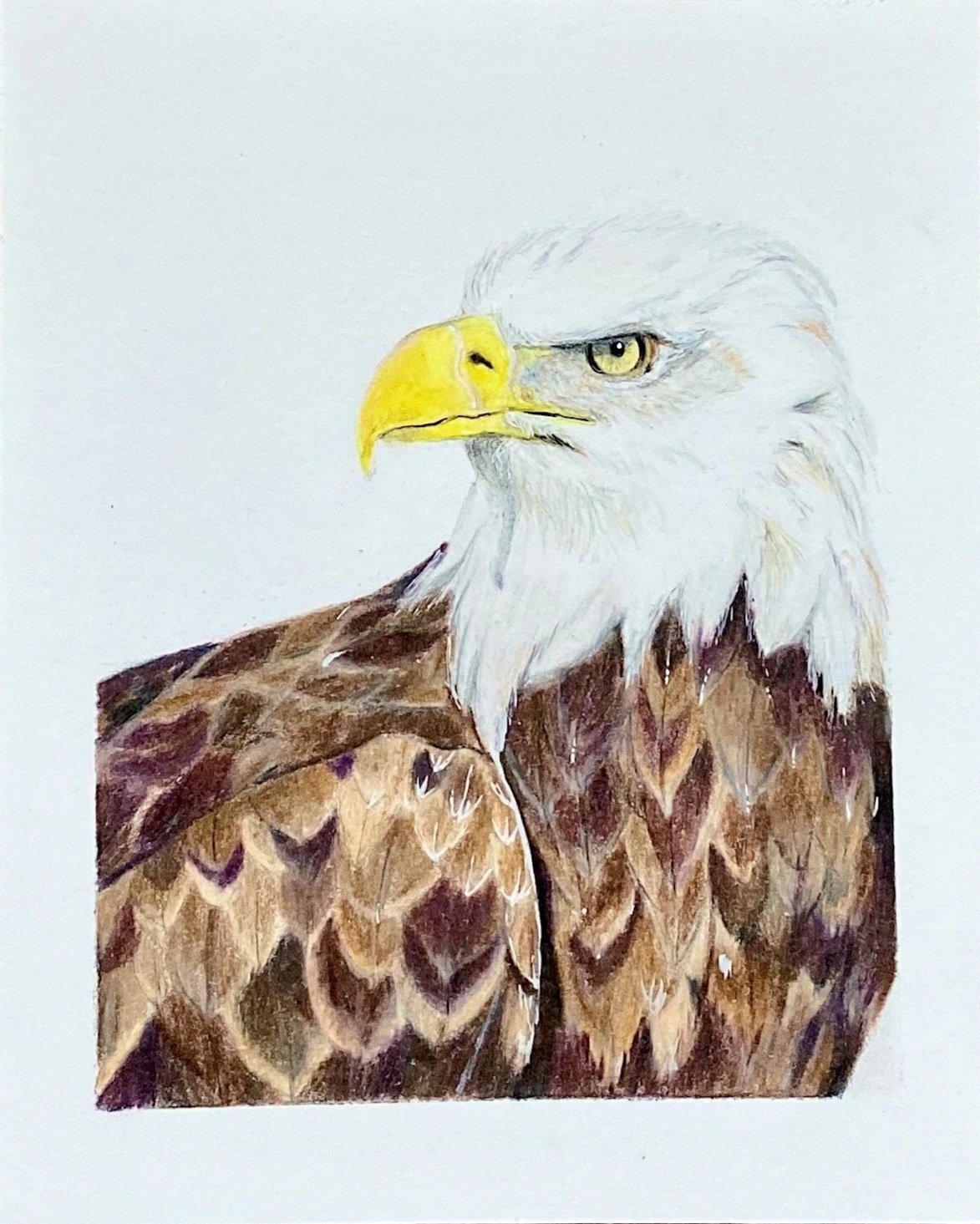 f5d4ff8c-7cc0-44b7-aa21-c5484671e44a-cde7bc27-0d0a-4939-bb2f-a7e4f31b28d0.jpg