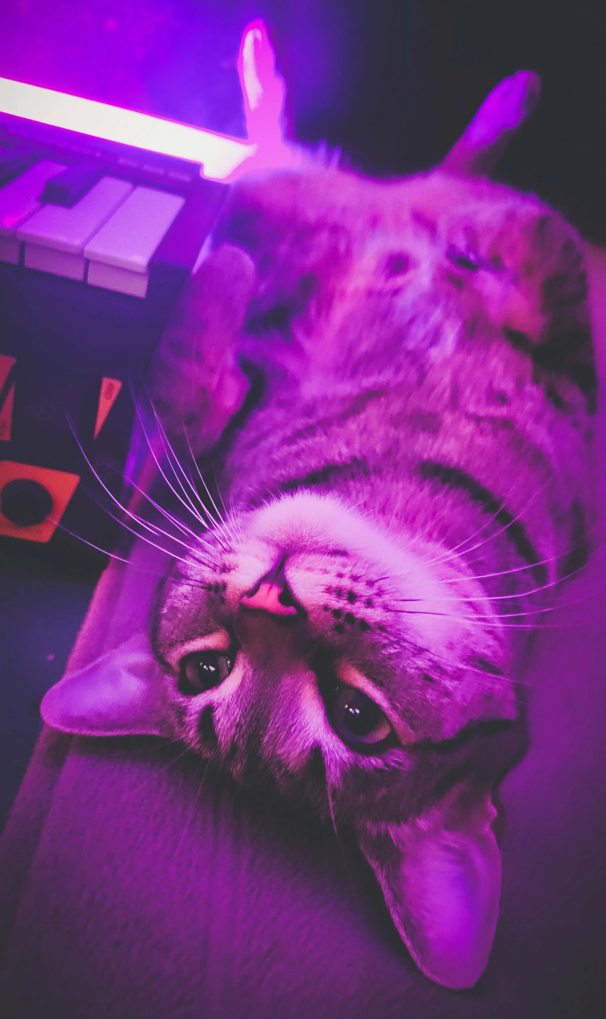 PSX_20230819_150033.jpg