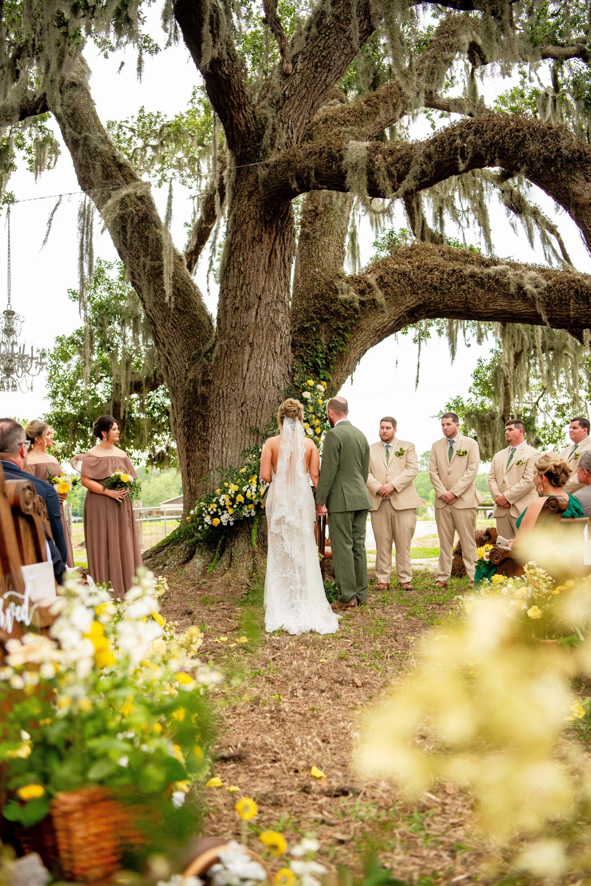 ashton ceremony.jpg