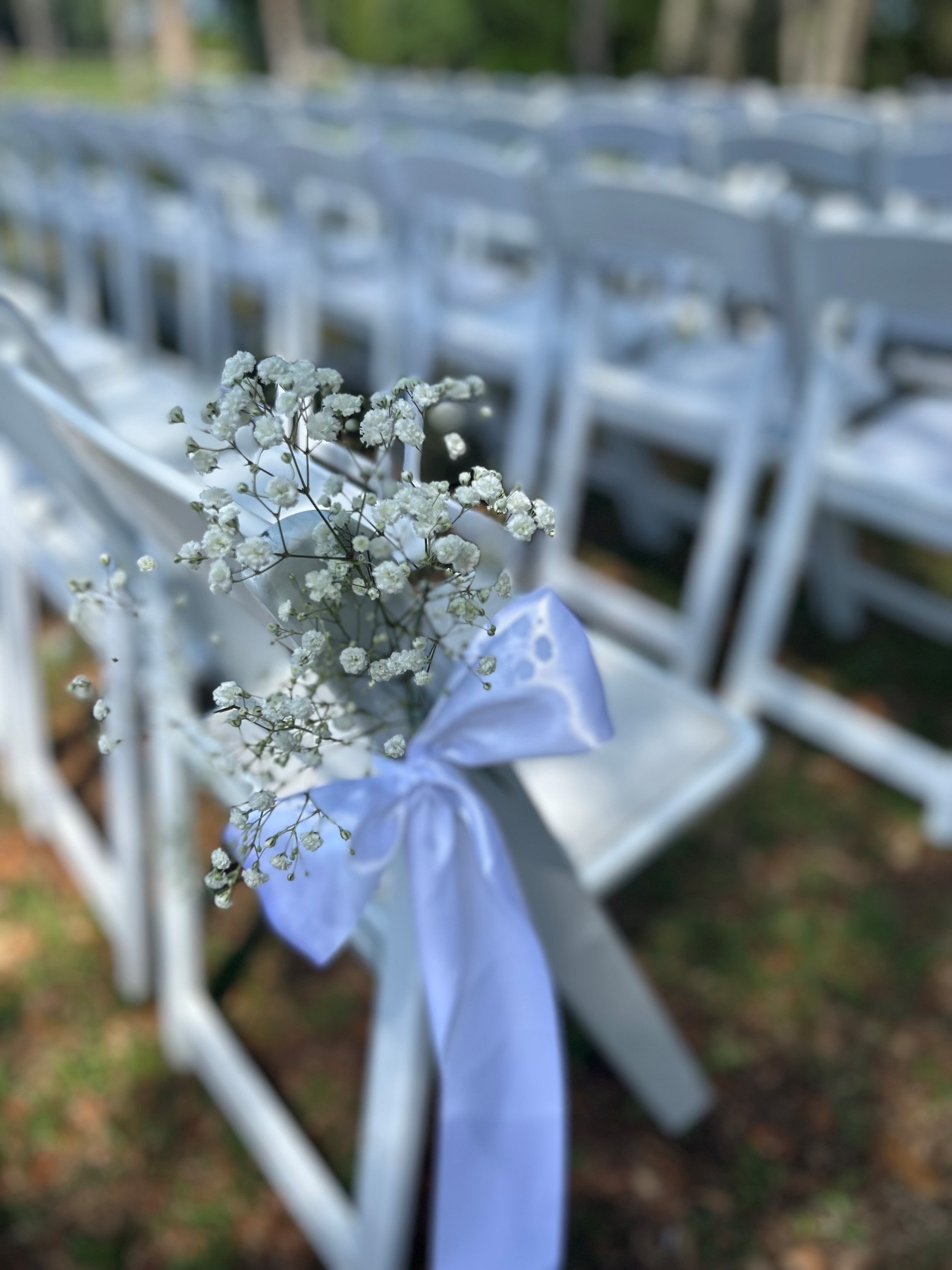 chair bow.jpg
