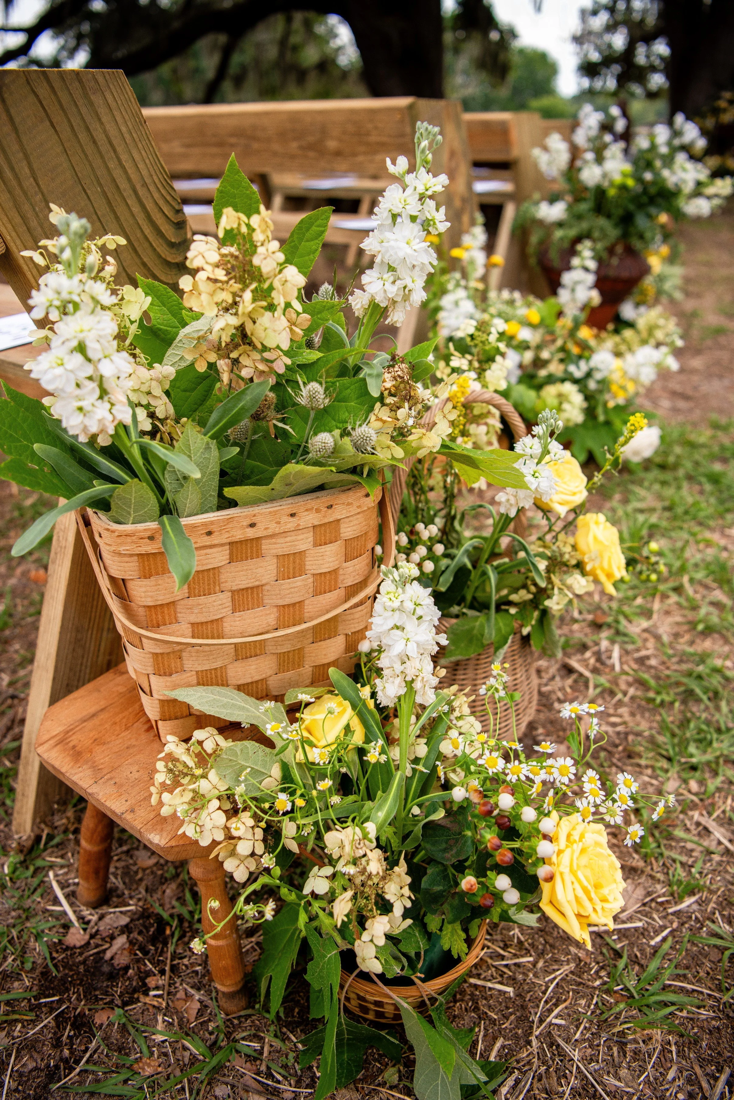 ashton baskets.jpg