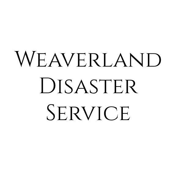 Roots-partners-01.png