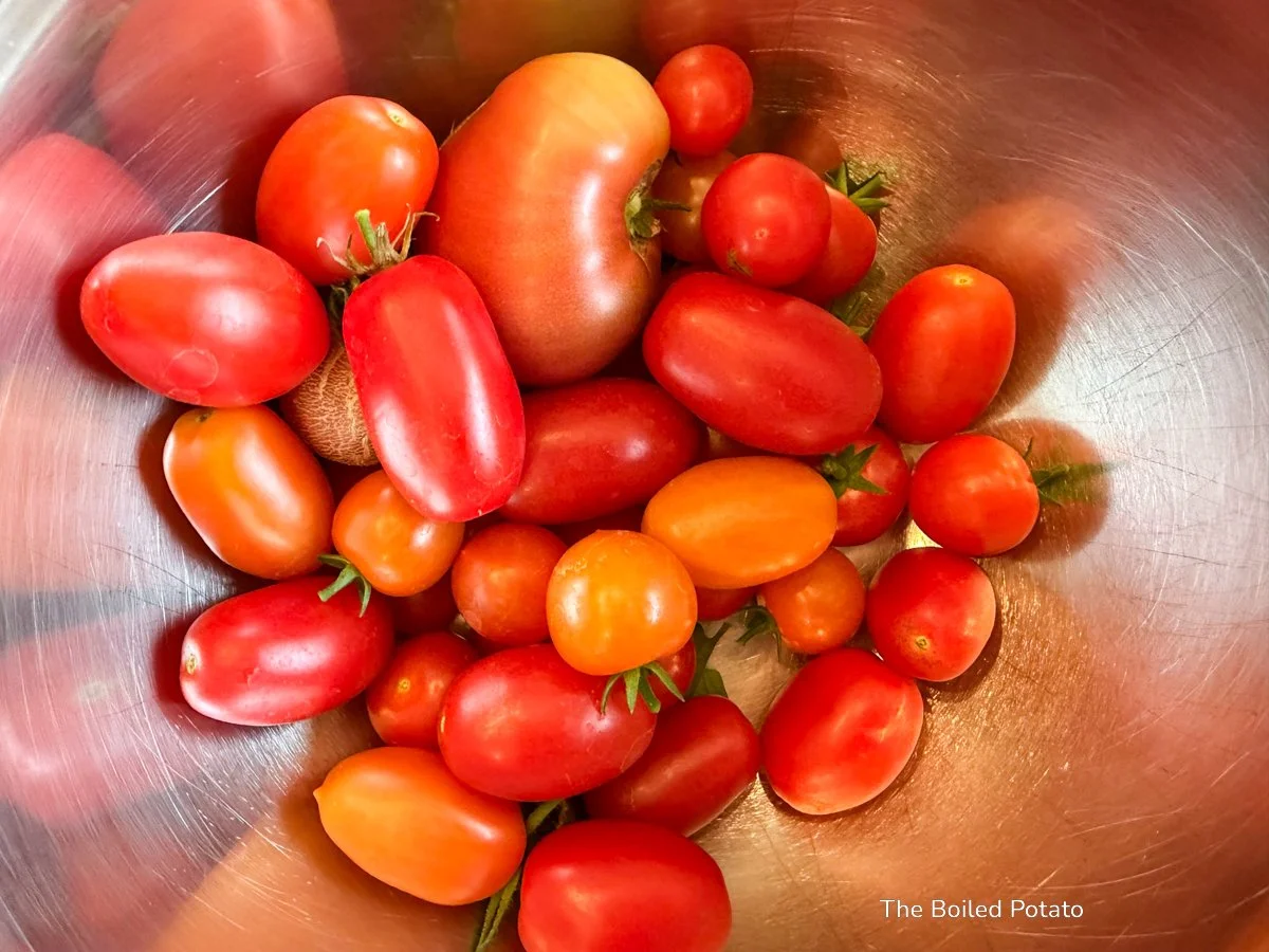 Garden Harvest