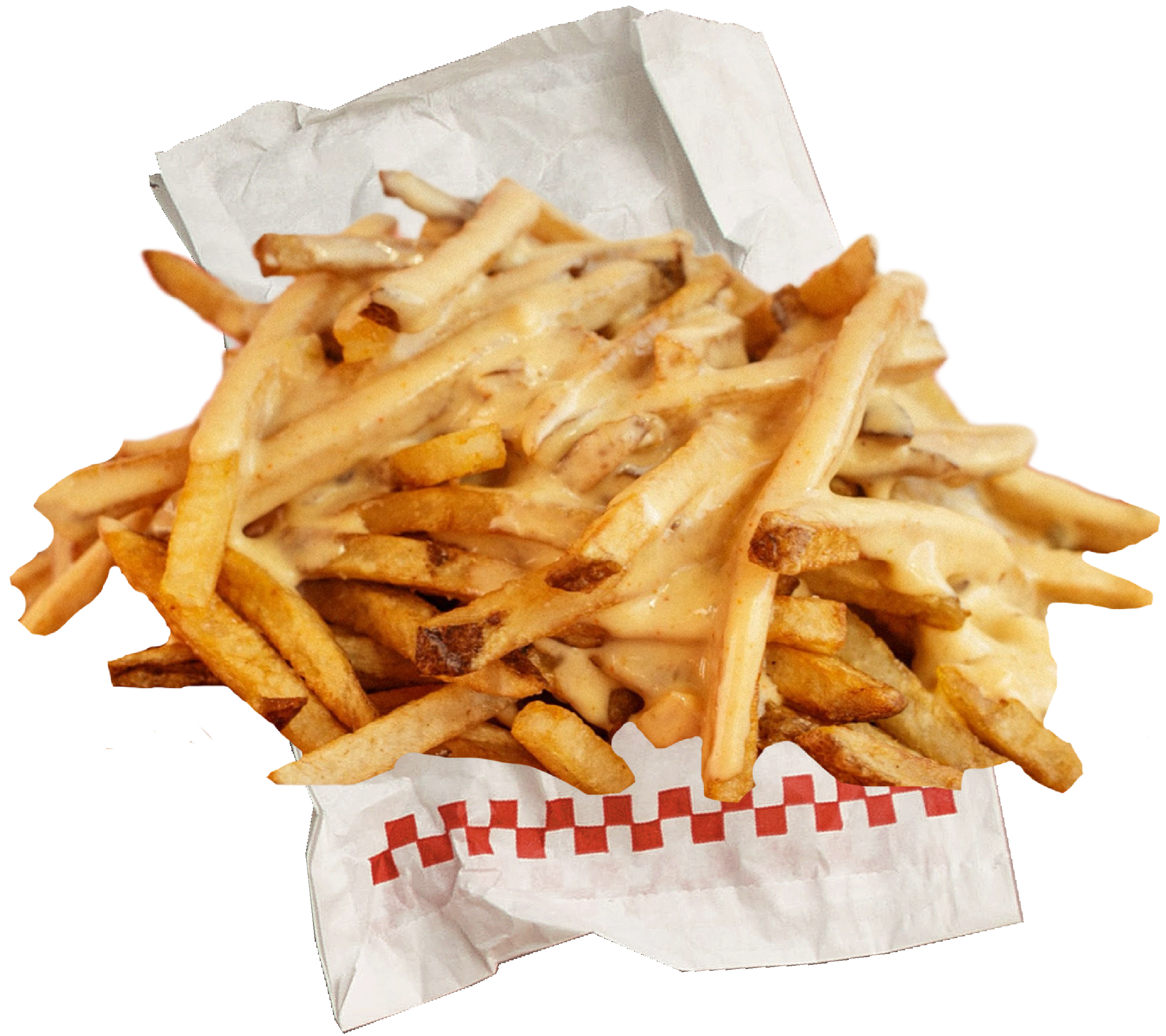 Lil Woody Queso Fries 