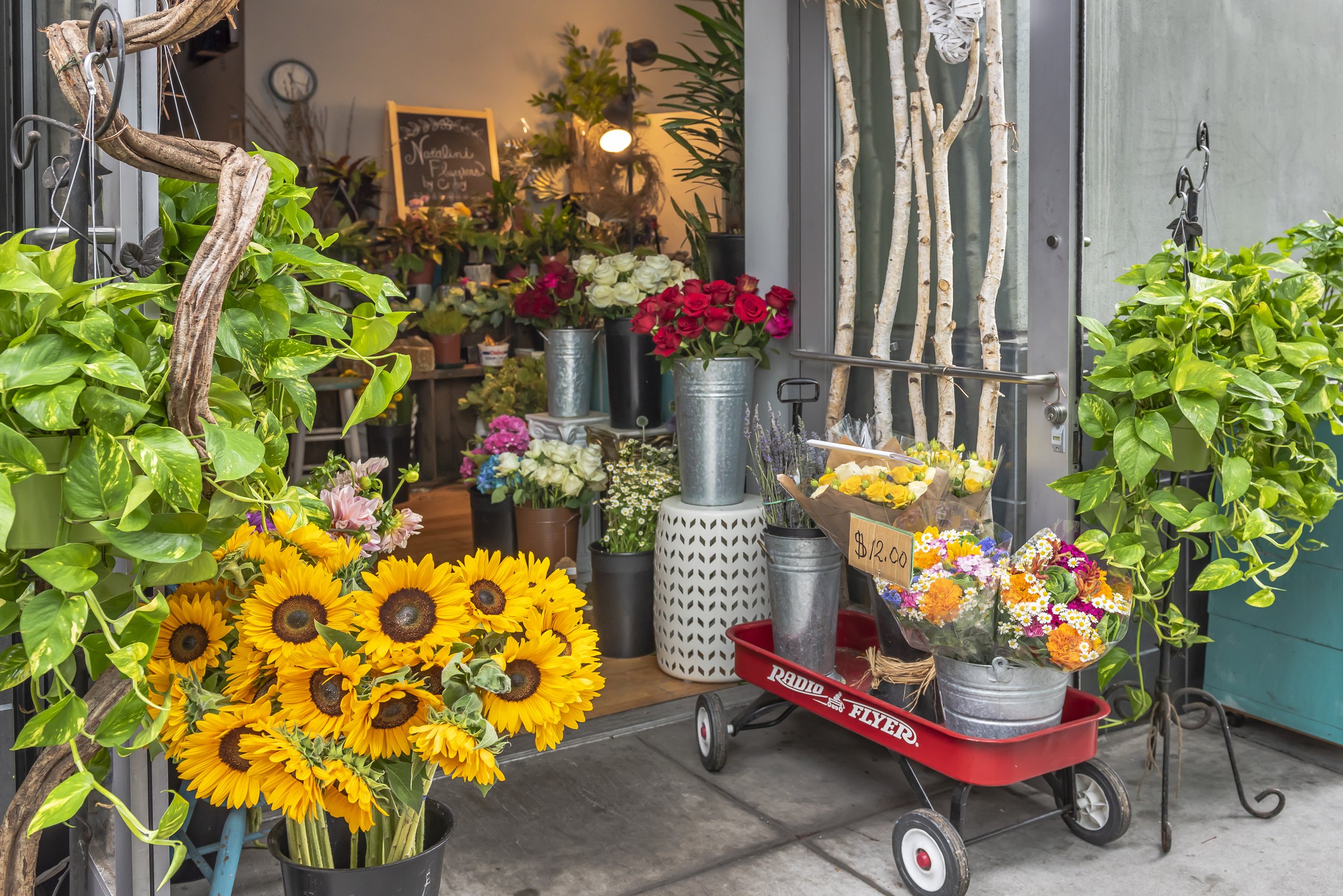 A flower shop displays various colorful flowers including sunflowers, roses, and daisies in vases and buckets. There is a red wagon with a price sign, and the shop's interior features more plants and a chalkboard sign.