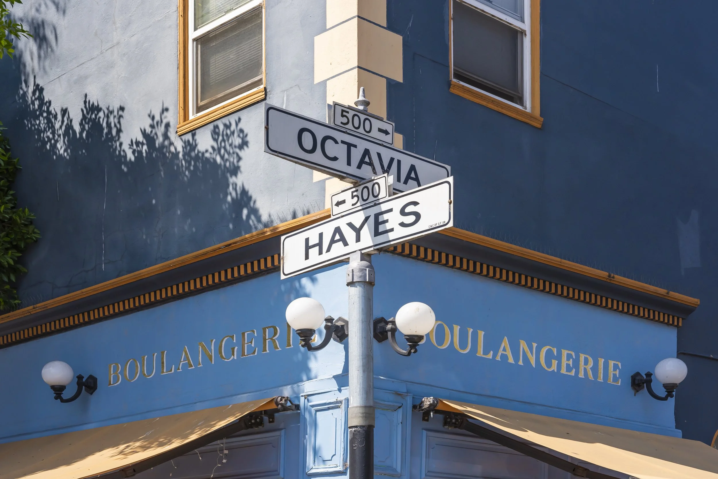 Street sign on a pole at the corner of Octavia Street and Hayes Street in San Francisco, California, with building windows and a shop sign in the background.