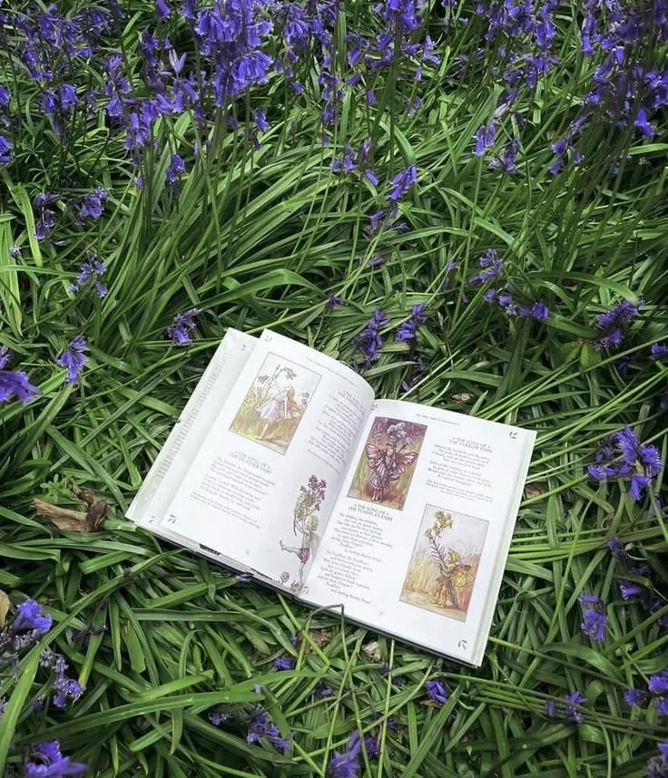 Open book with colorful illustrations and text, placed among green grass and purple flowers.