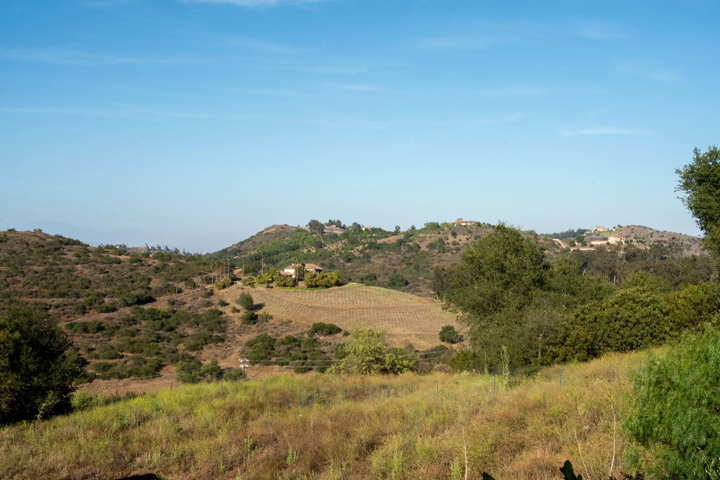 _DSC4911-HDR.jpg