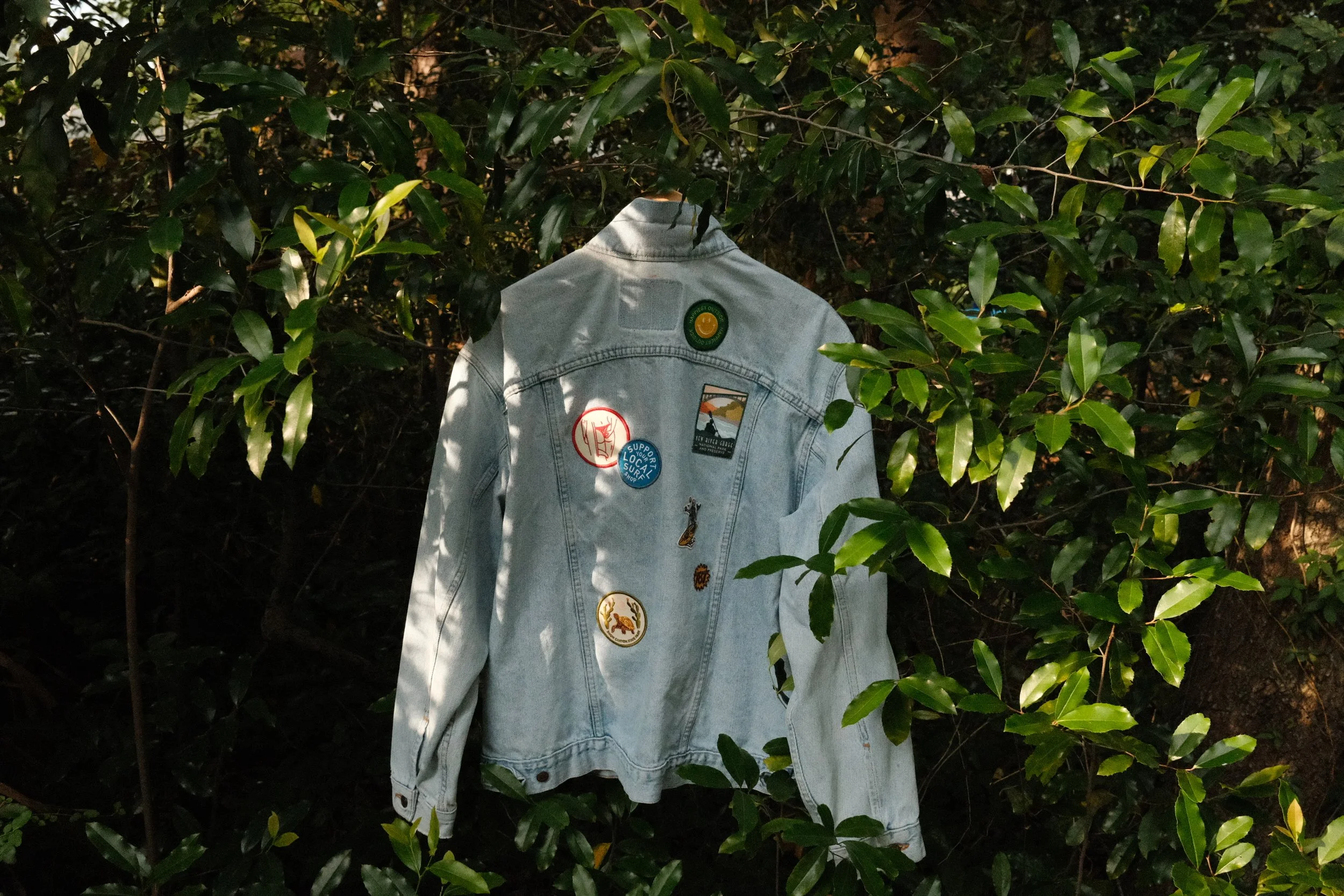 DSCF5483.JPG