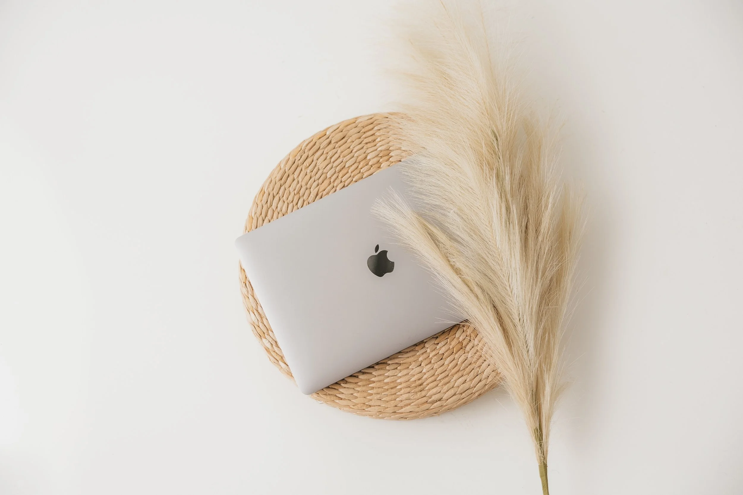 A white Apple MacBook partially covered by a woven straw item with a beige feather resting on top, set against a white background.