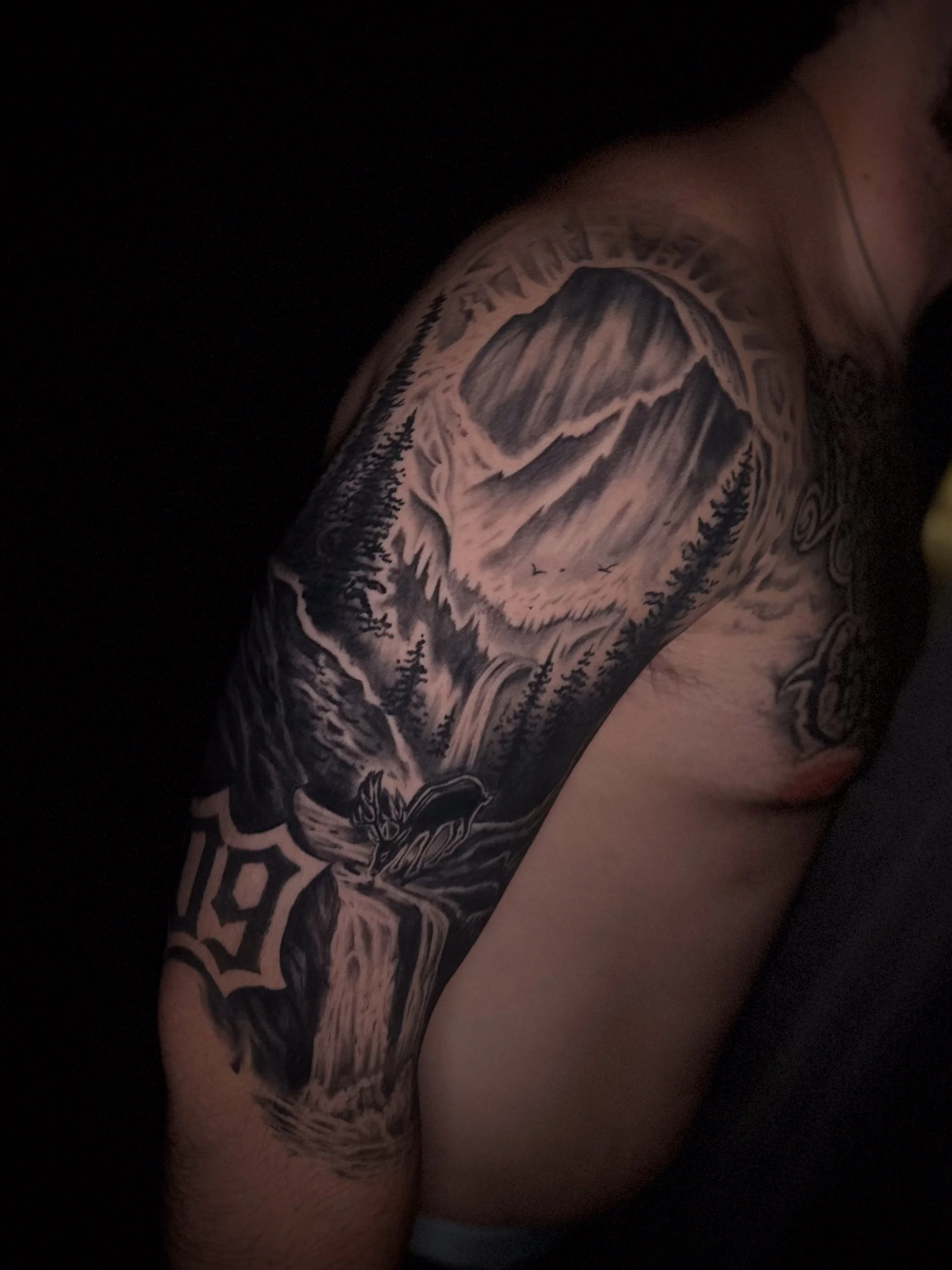 Close-up of a person's upper arm with a detailed tattoo of mountain scenery, trees, and birds.