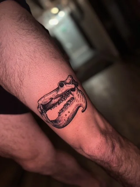 Tattoo of a dinosaur skull on a person's arm.