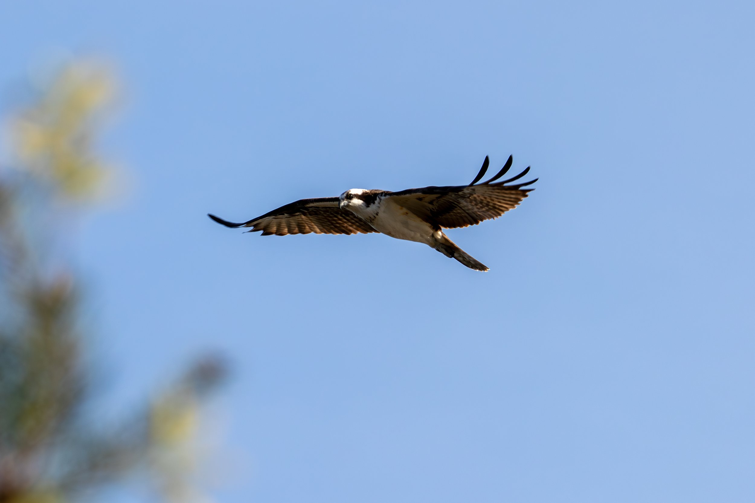 IMG_5856.jpg