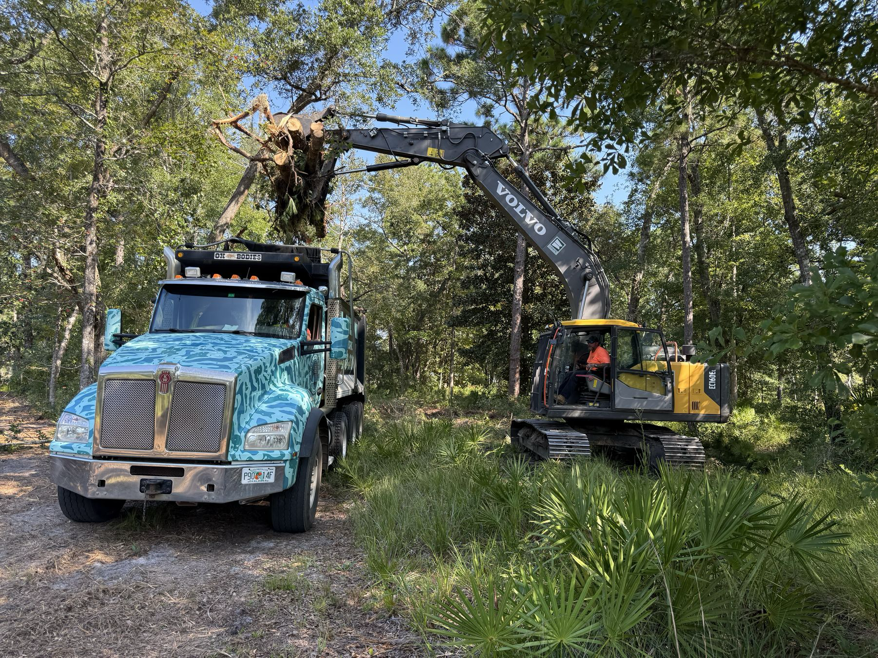 nobl-crew-land-clearing-equipment-florida.jpg