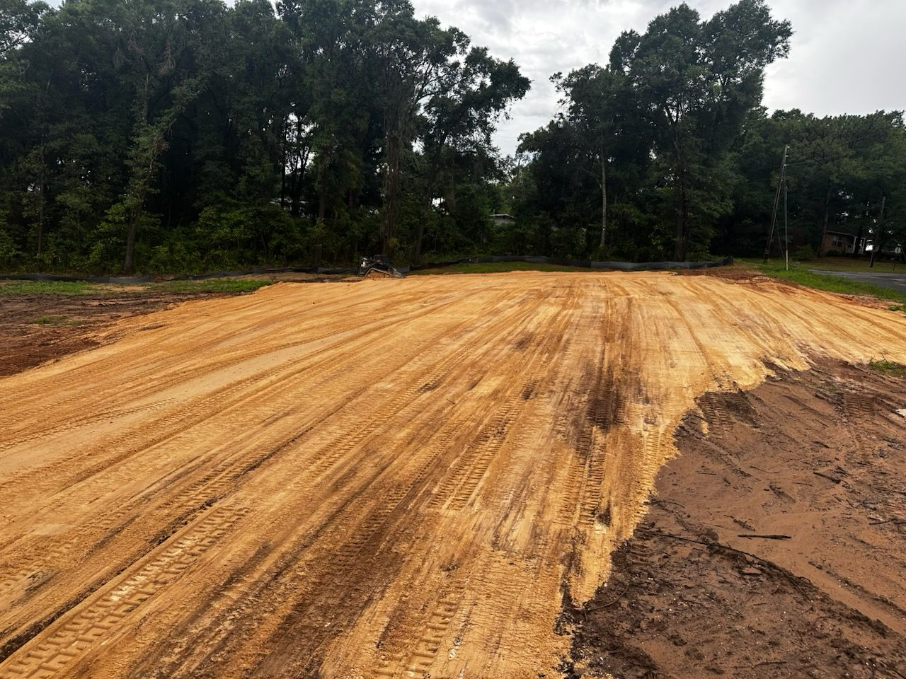 Land Clearing vs Forestry Mulching: What Is Right for Your Project?