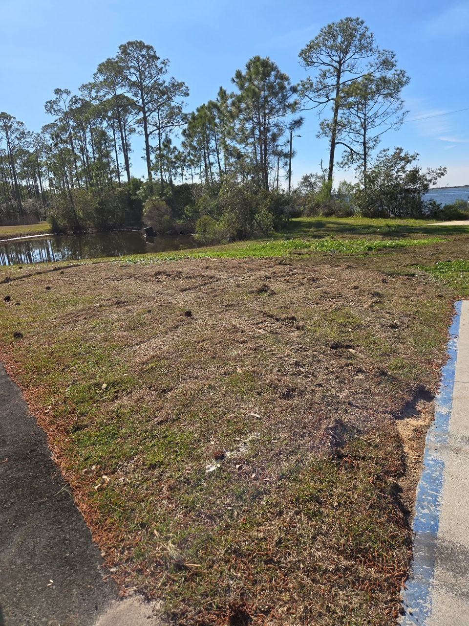 Essential Tips for Stormwater Pond Maintenance