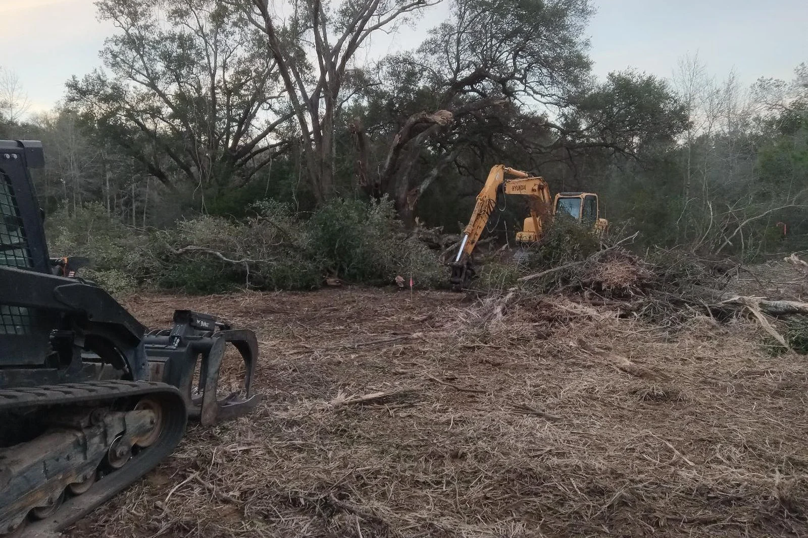 Do You Need a Permit to Clear Land in Santa Rosa County?